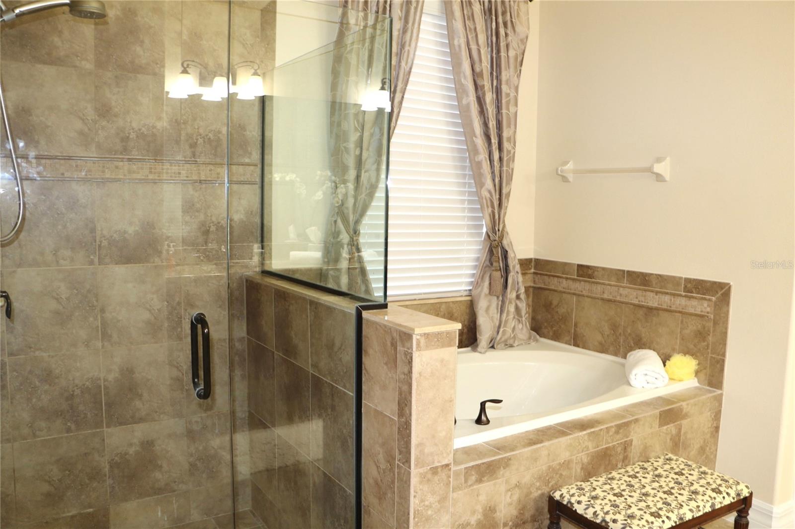 25447 HIGH HAMPTON CIR, SORRENTO, FL, 32776