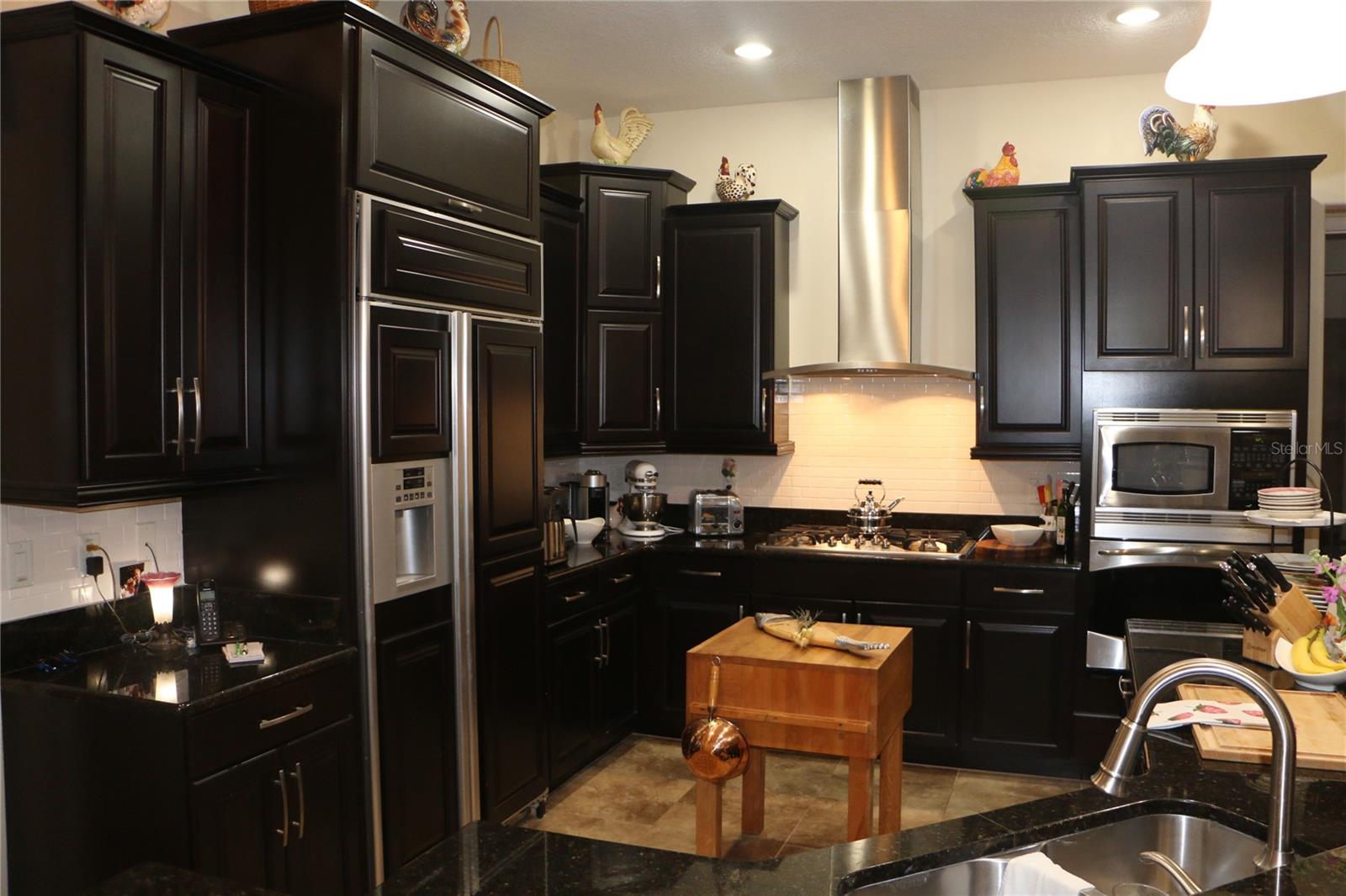 25447 HIGH HAMPTON CIR, SORRENTO, FL, 32776