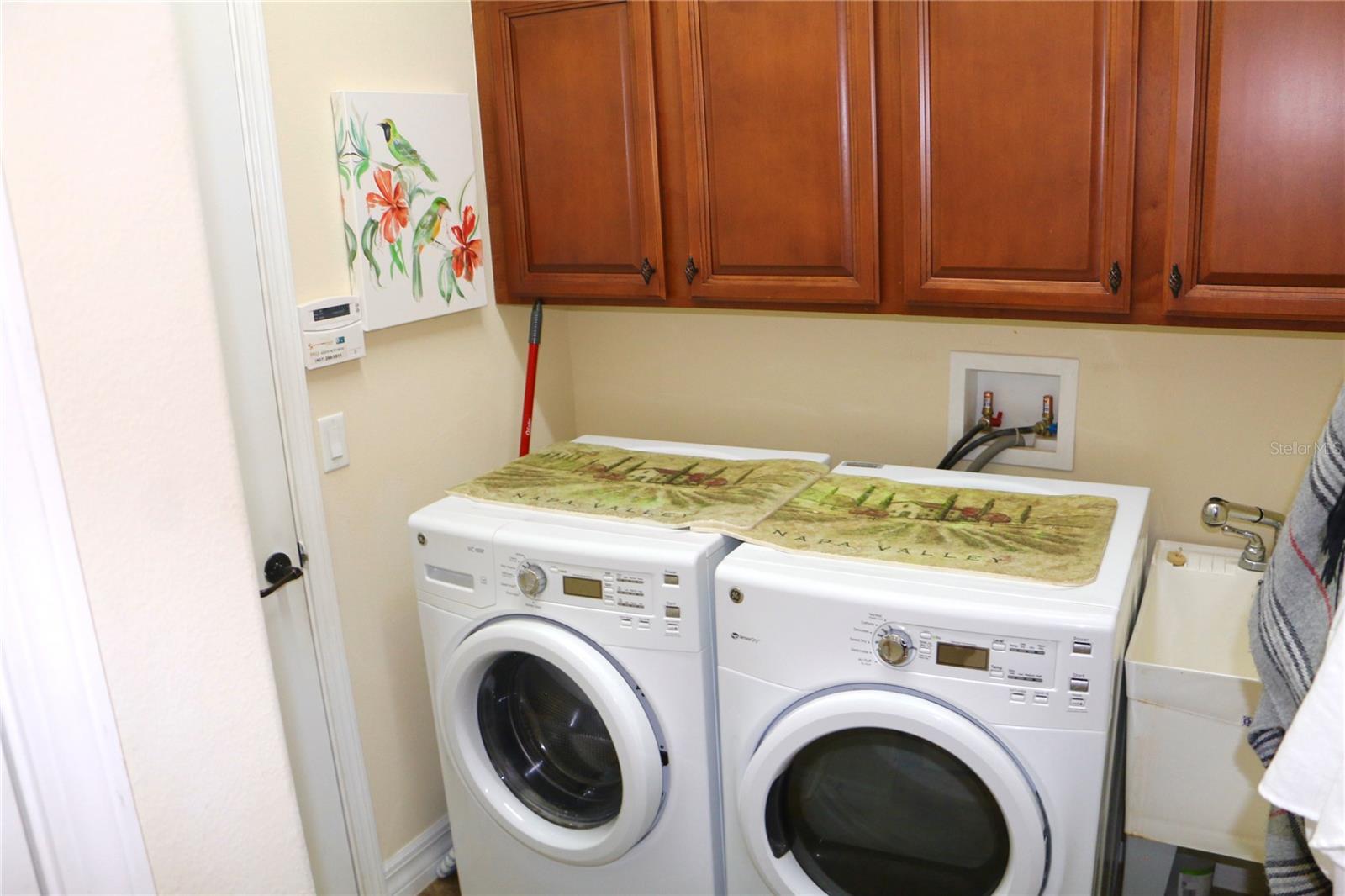 25447 HIGH HAMPTON CIR, SORRENTO, FL, 32776