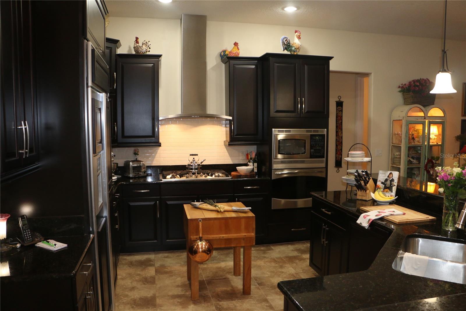 25447 HIGH HAMPTON CIR, SORRENTO, FL, 32776