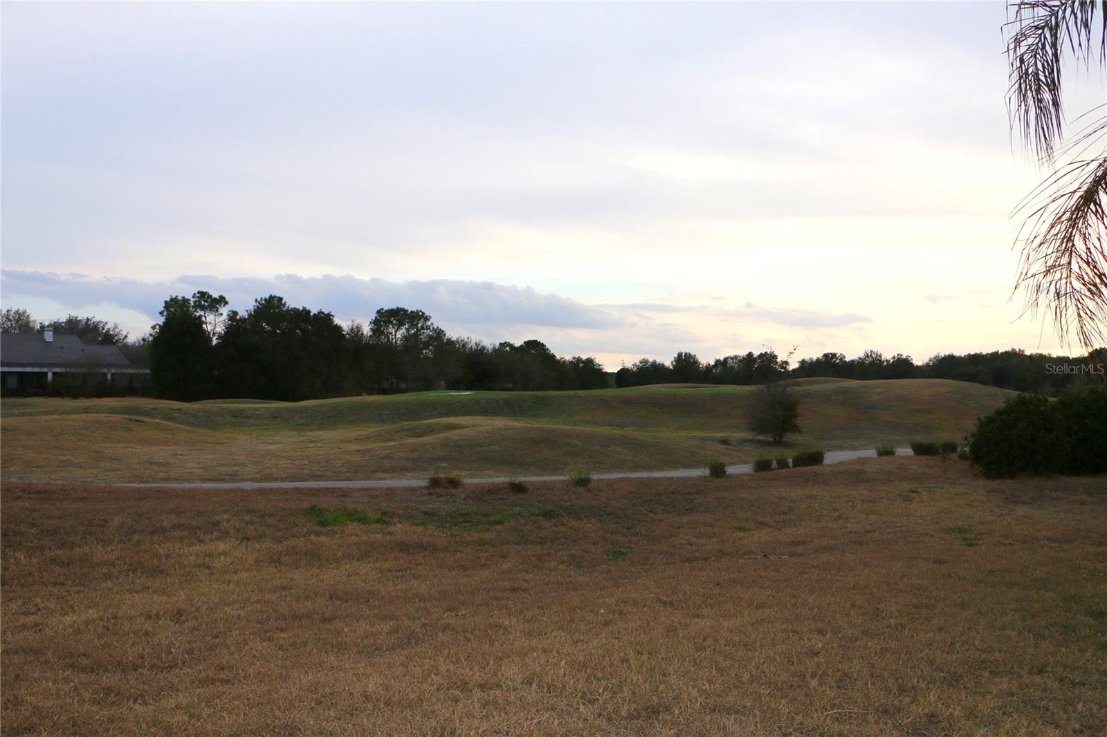 25447 HIGH HAMPTON CIR, SORRENTO, FL, 32776