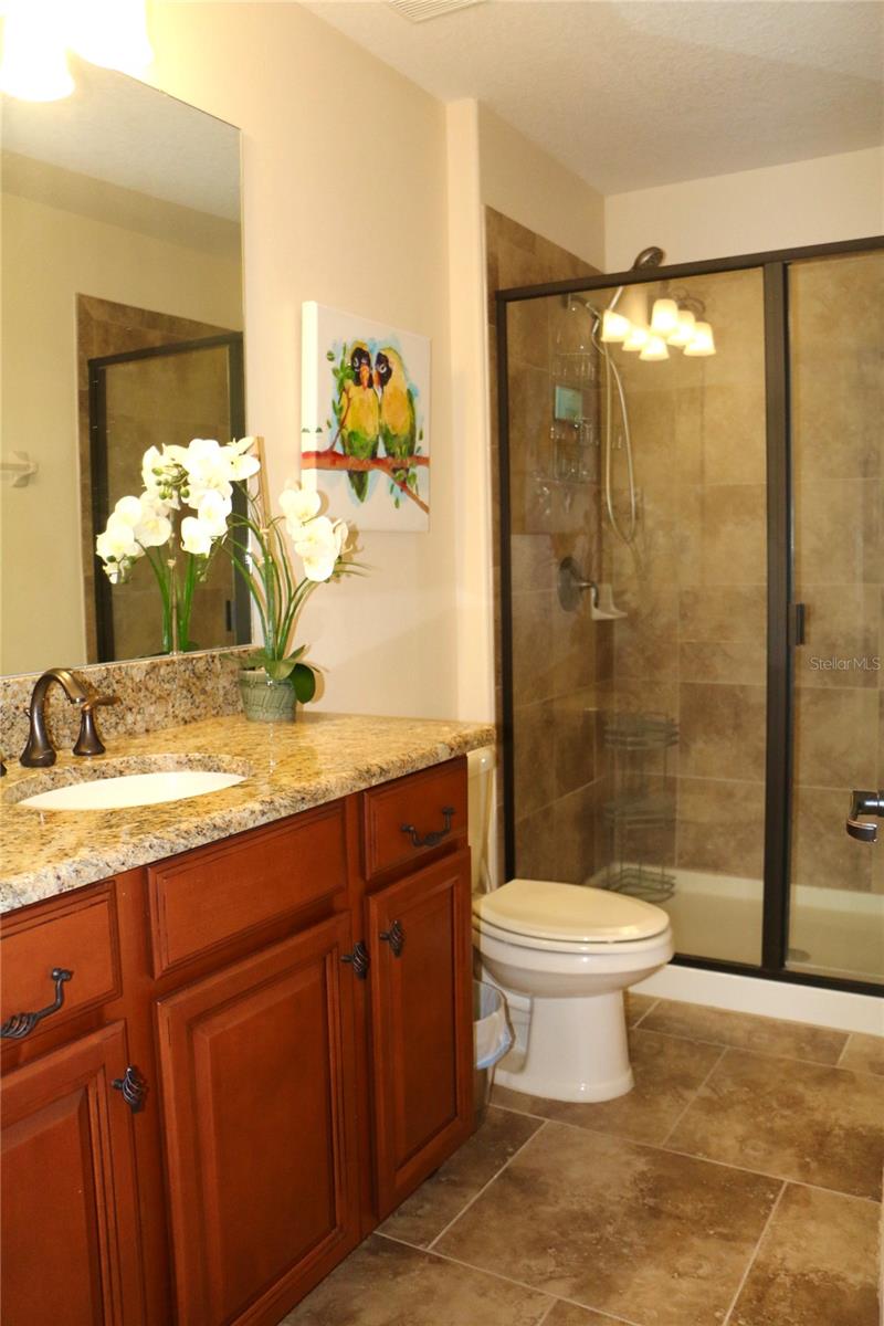 25447 HIGH HAMPTON CIR, SORRENTO, FL, 32776