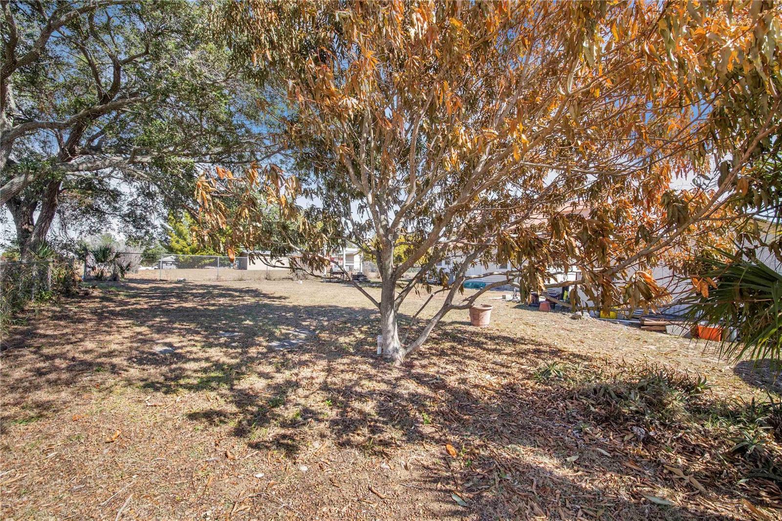 118 S 5TH ST, HAINES CITY, FL, 33844