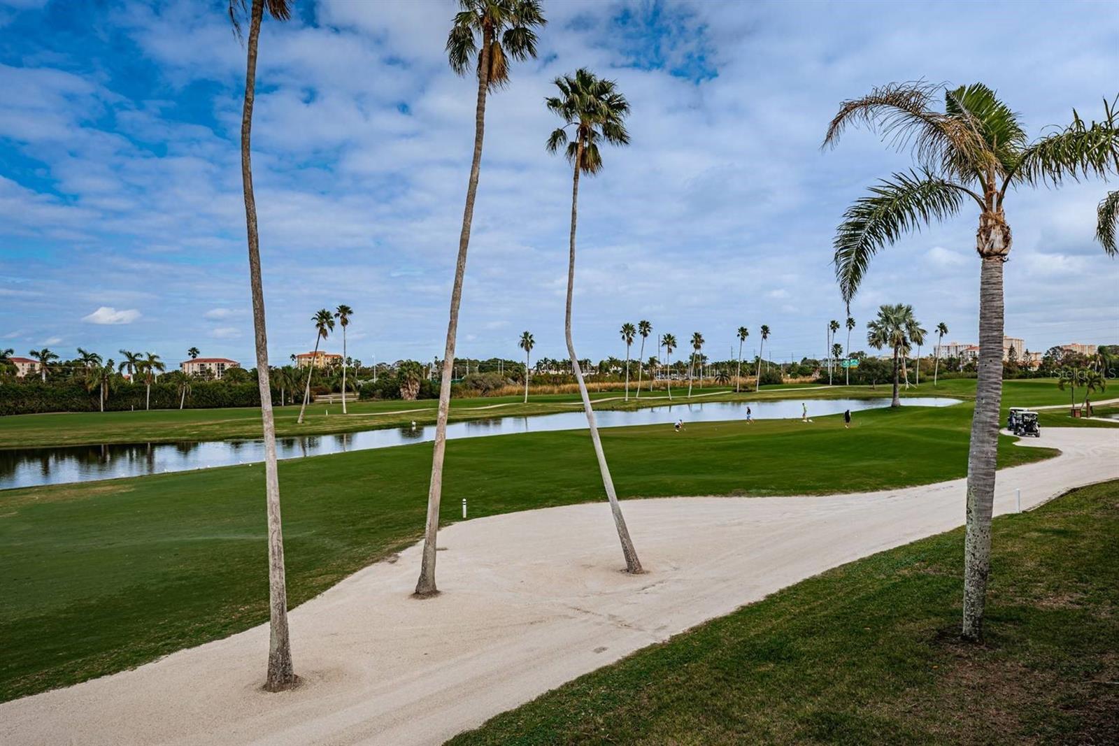 6141 BAHIA DEL MAR BLVD #229, ST PETERSBURG, FL, 33715