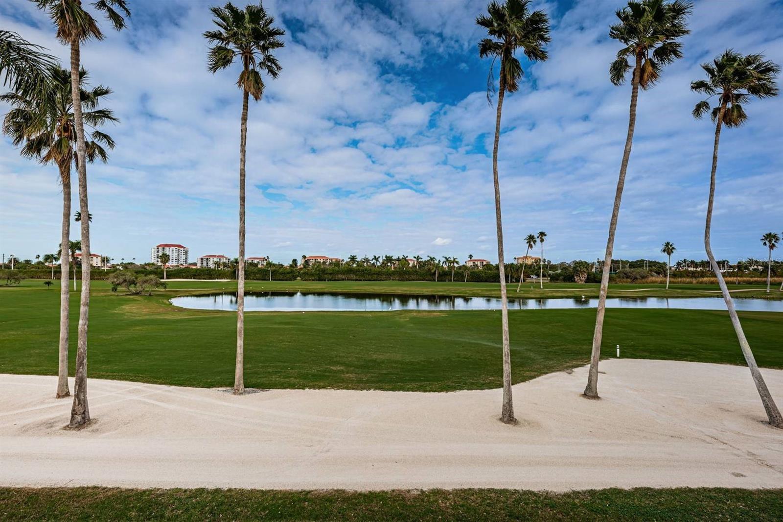 6141 BAHIA DEL MAR BLVD #229, ST PETERSBURG, FL, 33715