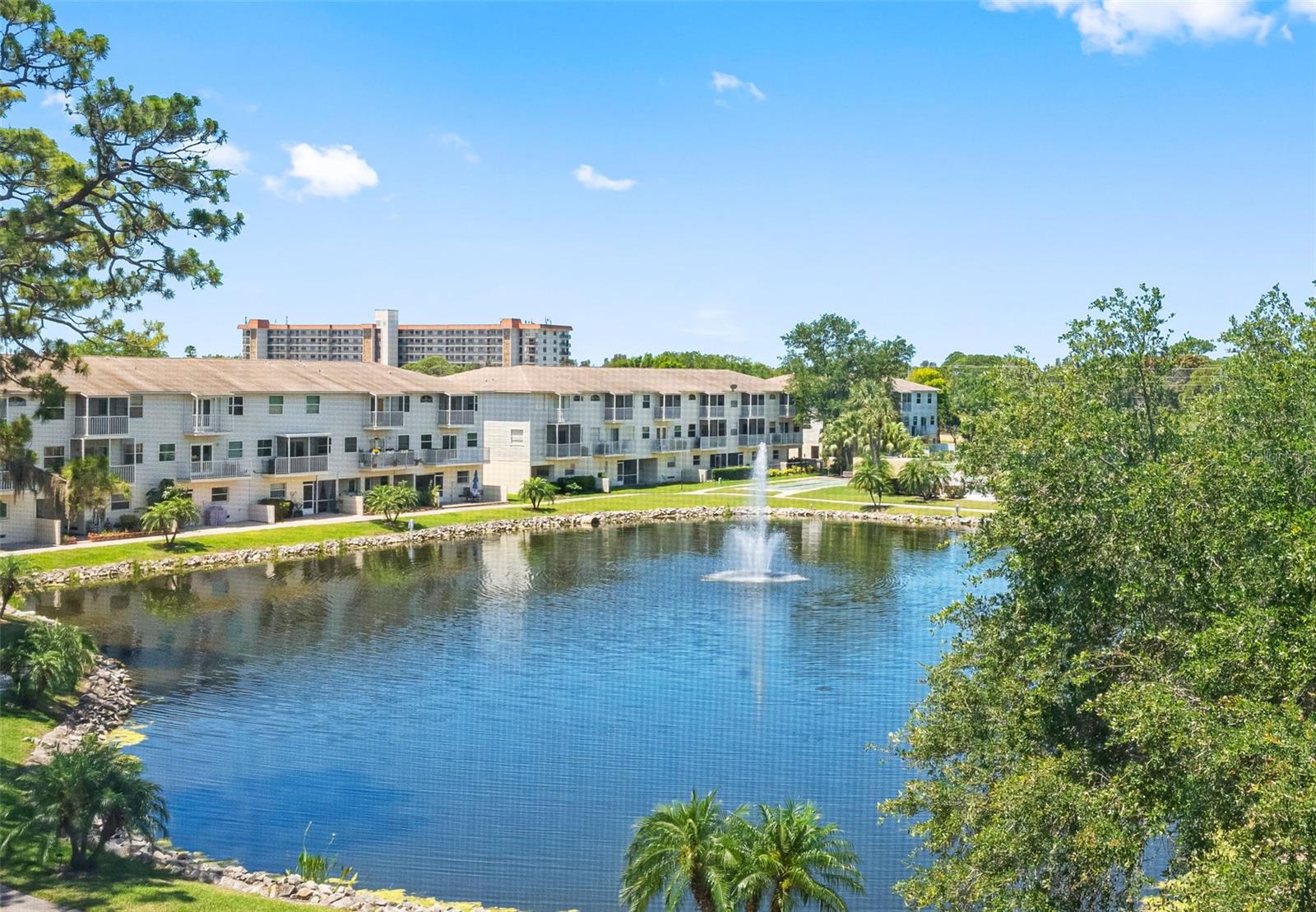 5775 PARK ST N #411, ST PETERSBURG, FL, 33709
