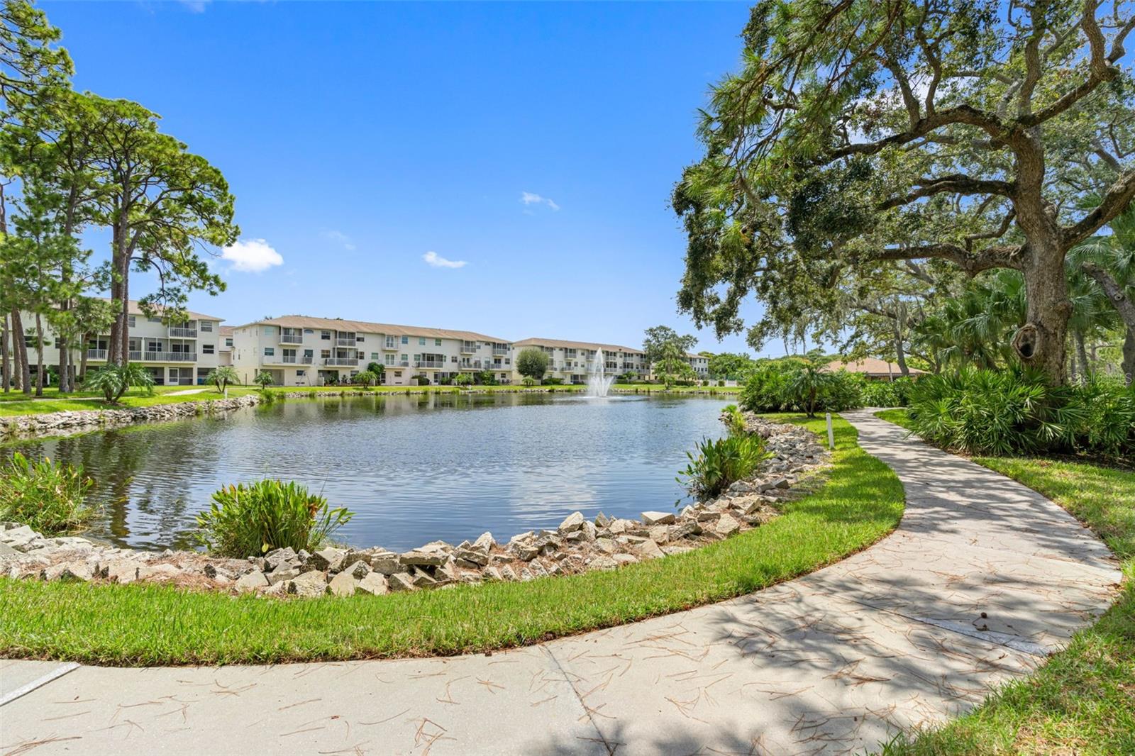 5775 PARK ST N #411, ST PETERSBURG, FL, 33709