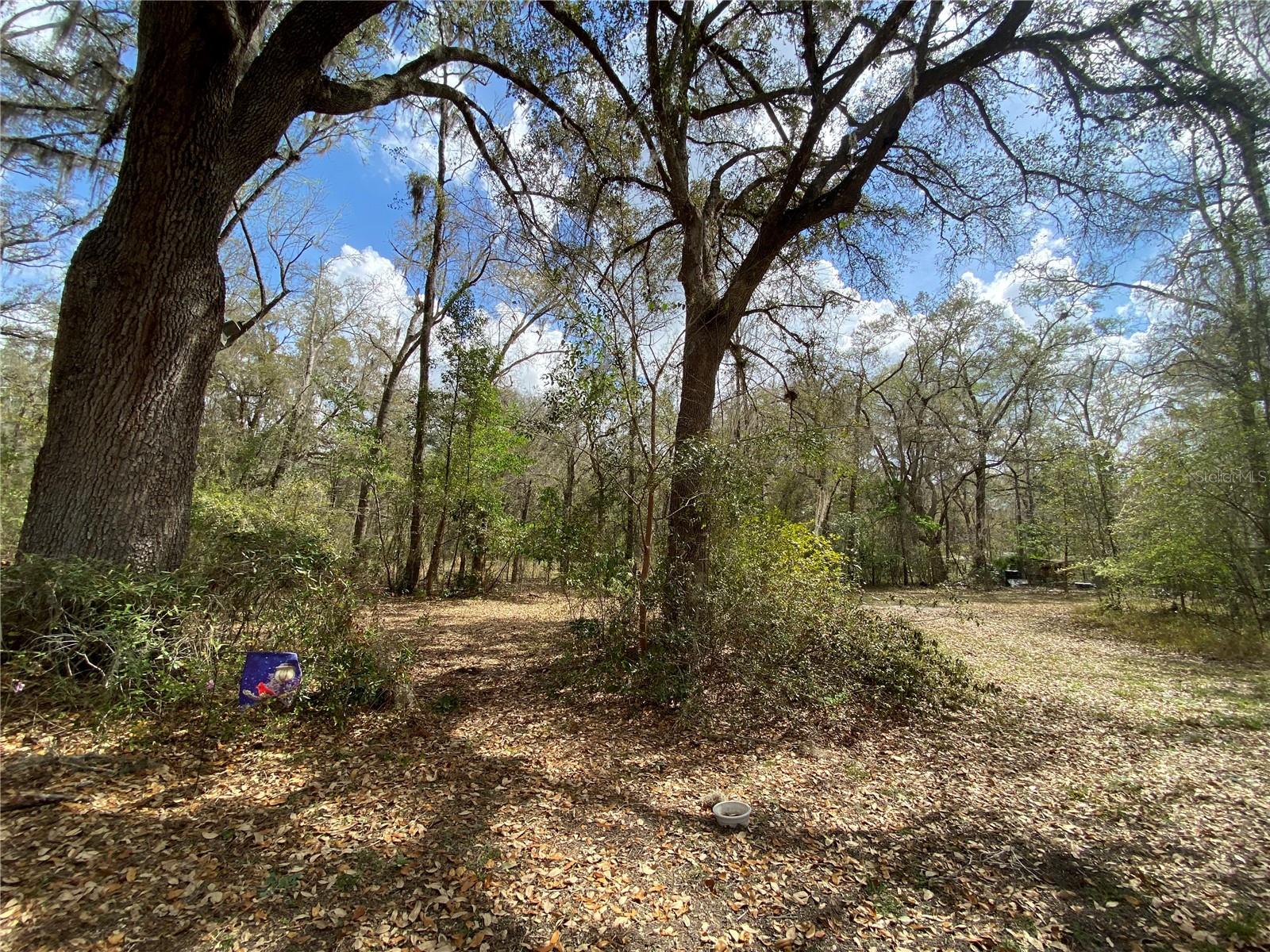 15213 NW 31ST TER, GAINESVILLE, FL, 32609