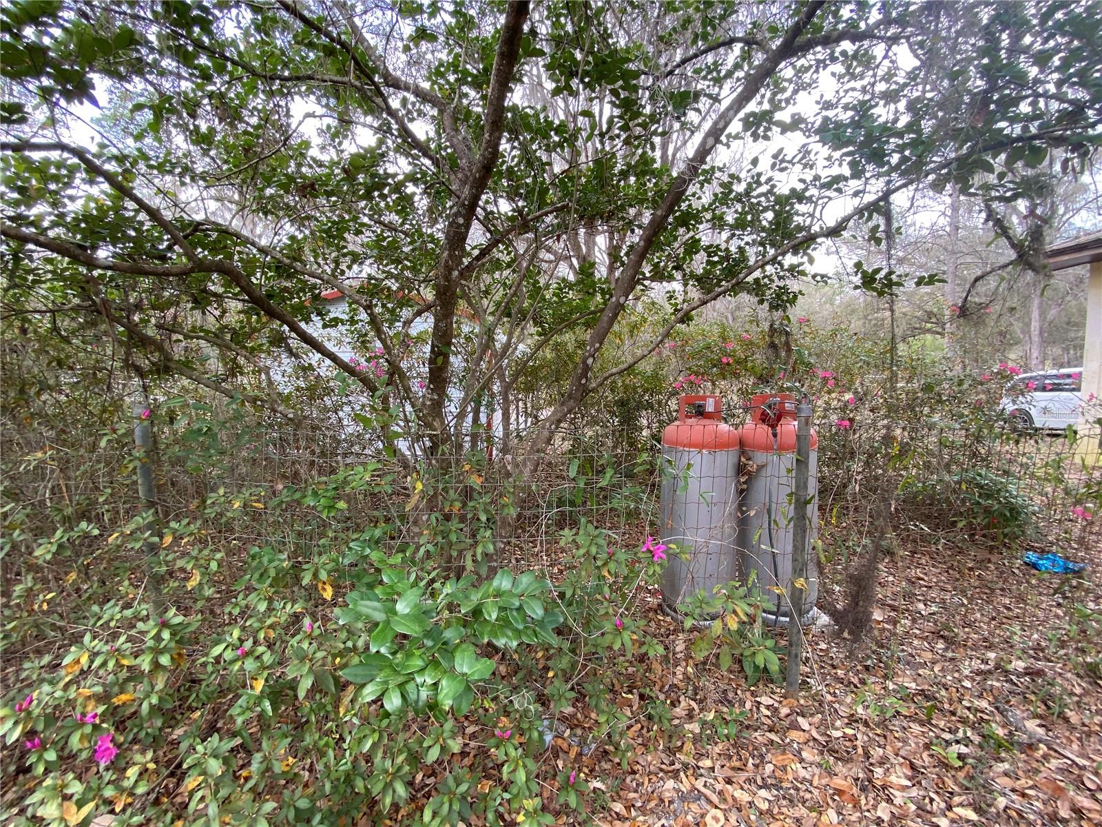 15213 NW 31ST TER, GAINESVILLE, FL, 32609