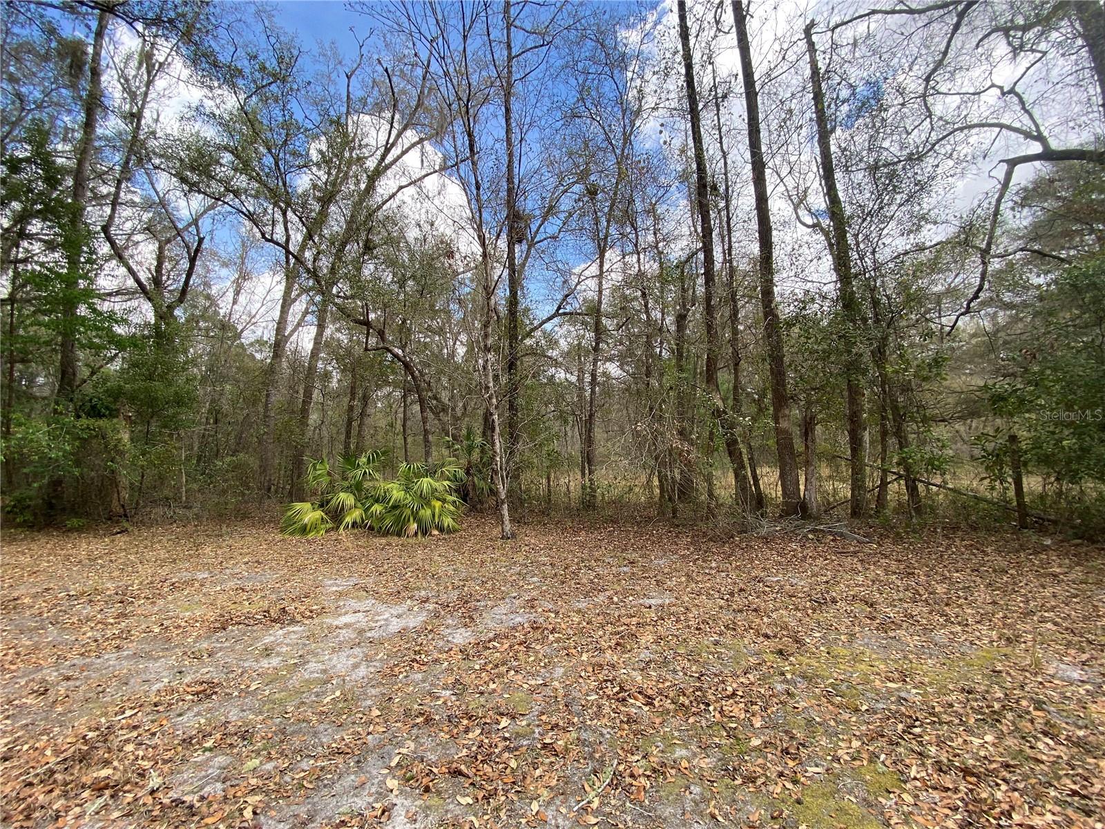 15213 NW 31ST TER, GAINESVILLE, FL, 32609