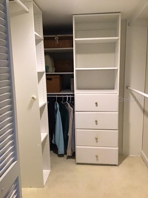 Closets with Built-ins