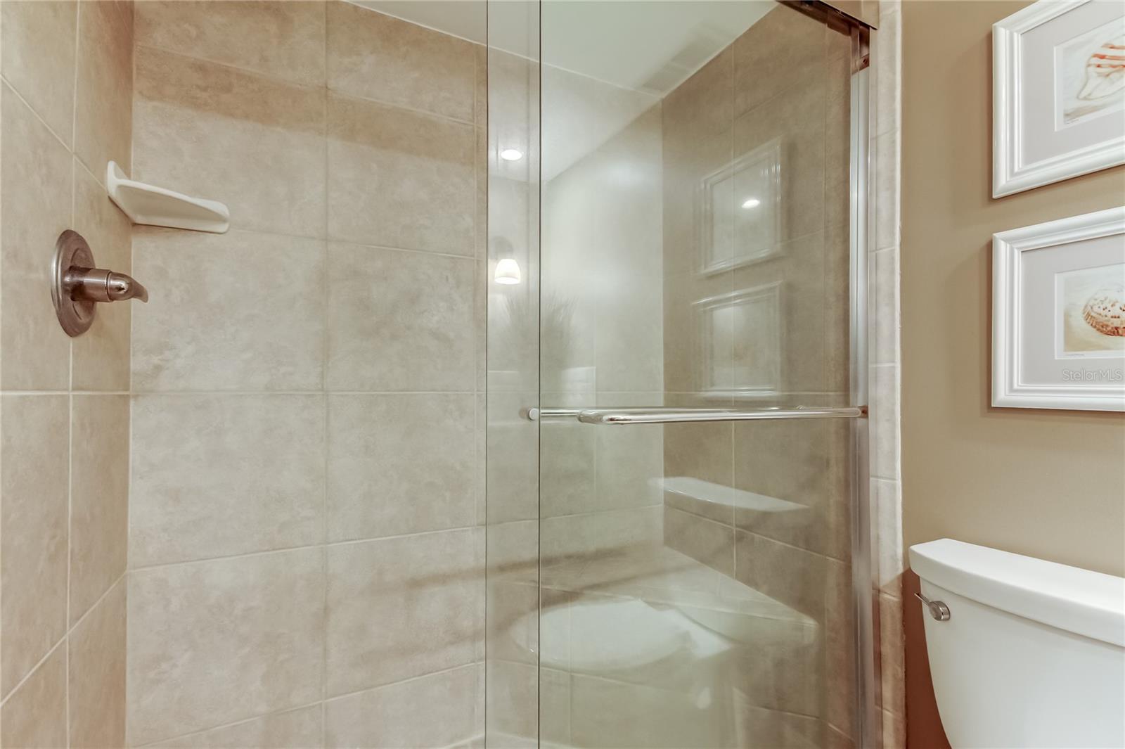 Guest walk-in shower