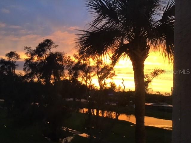 Beautiful evening sunsets right at home overlooking the pond.