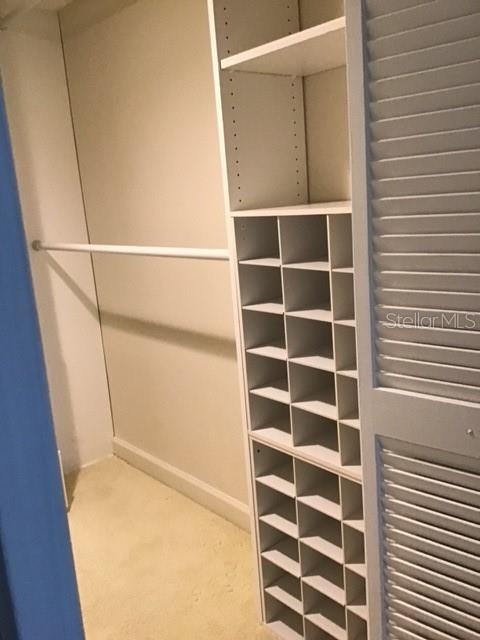 Built-ins in the closets