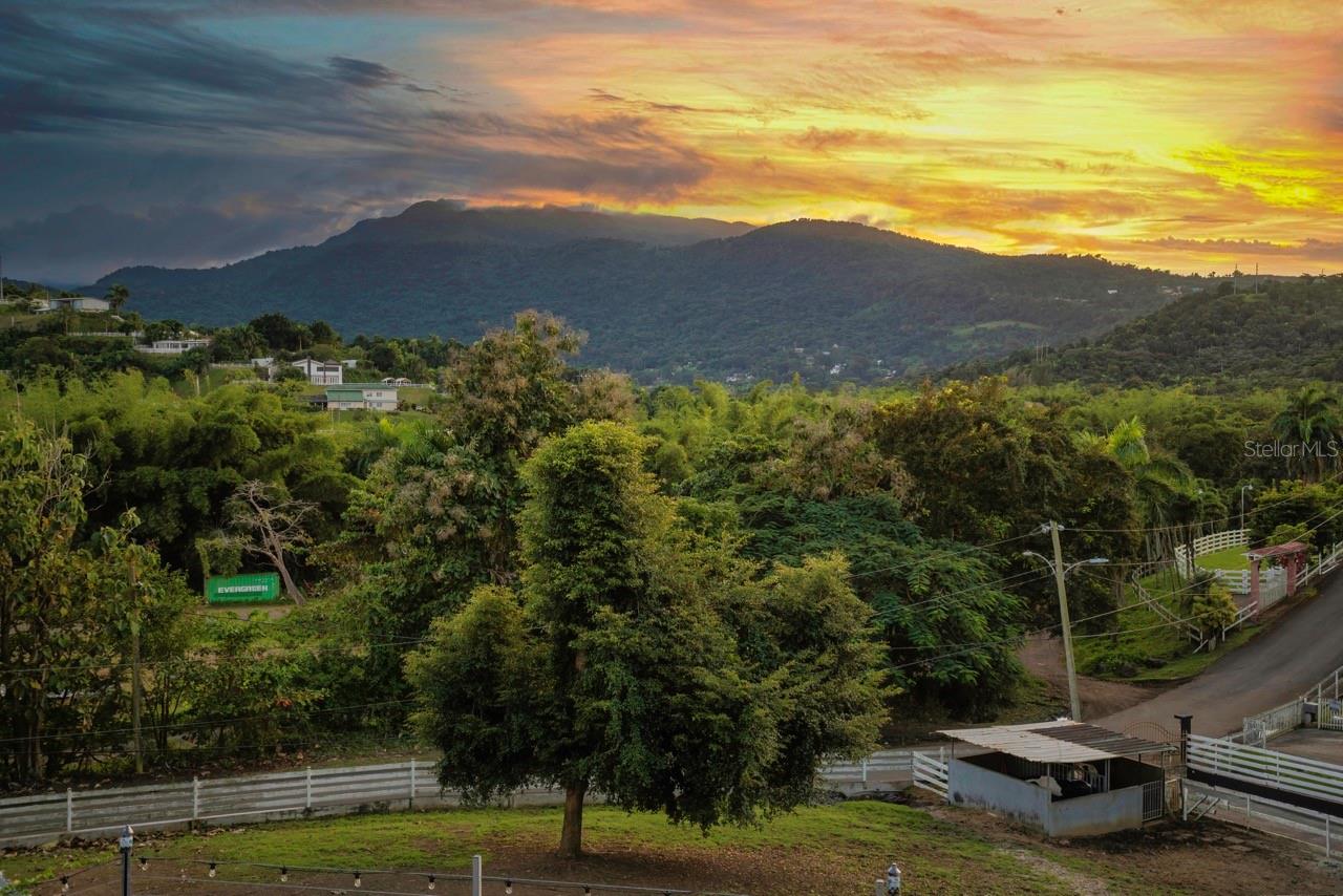 PR9119244 Property Photo