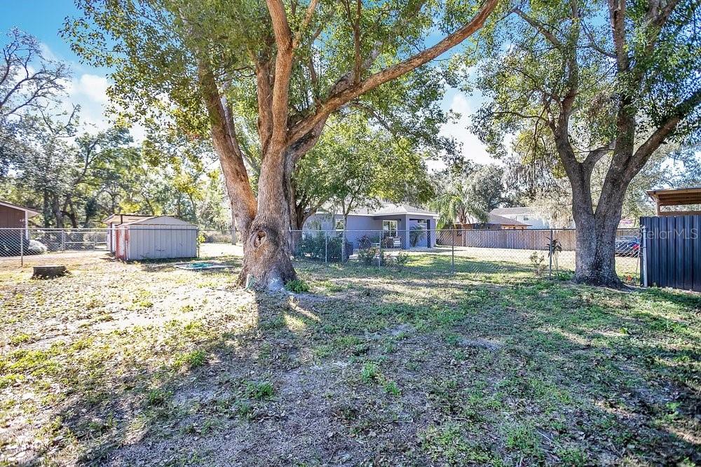 2905 PAUL BUCHMAN HWY, PLANT CITY, FL, 33563