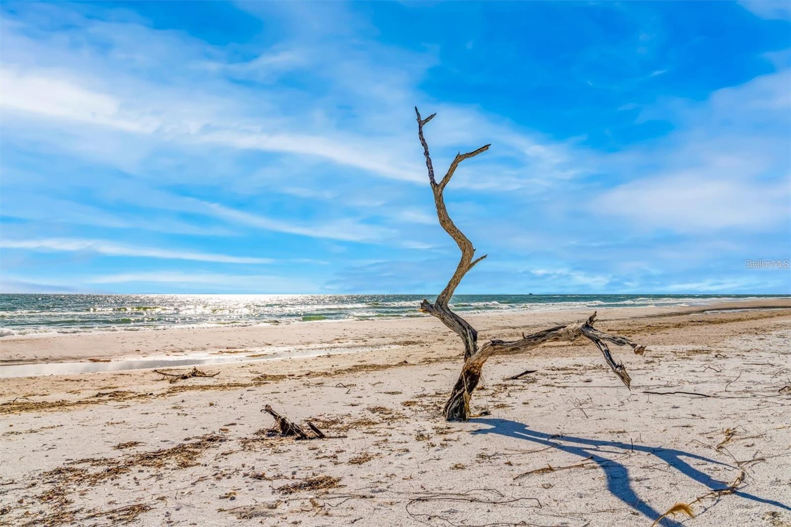 A4682193 Property Photo