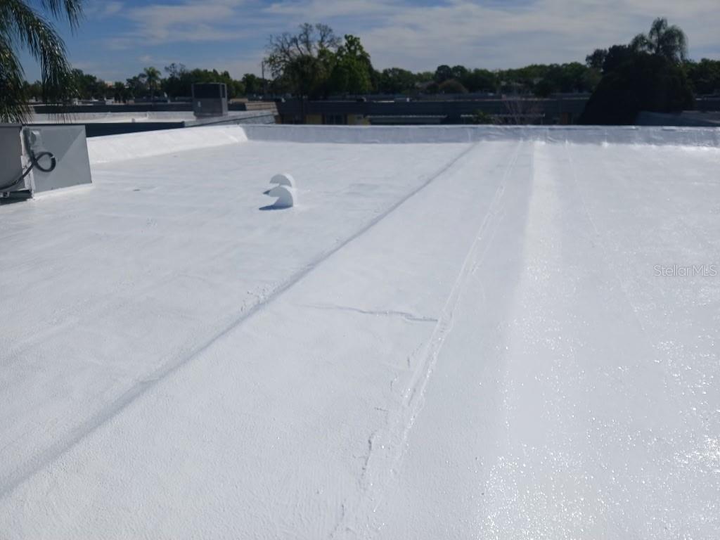 NEW GACO SILICONE ROOF March 2026