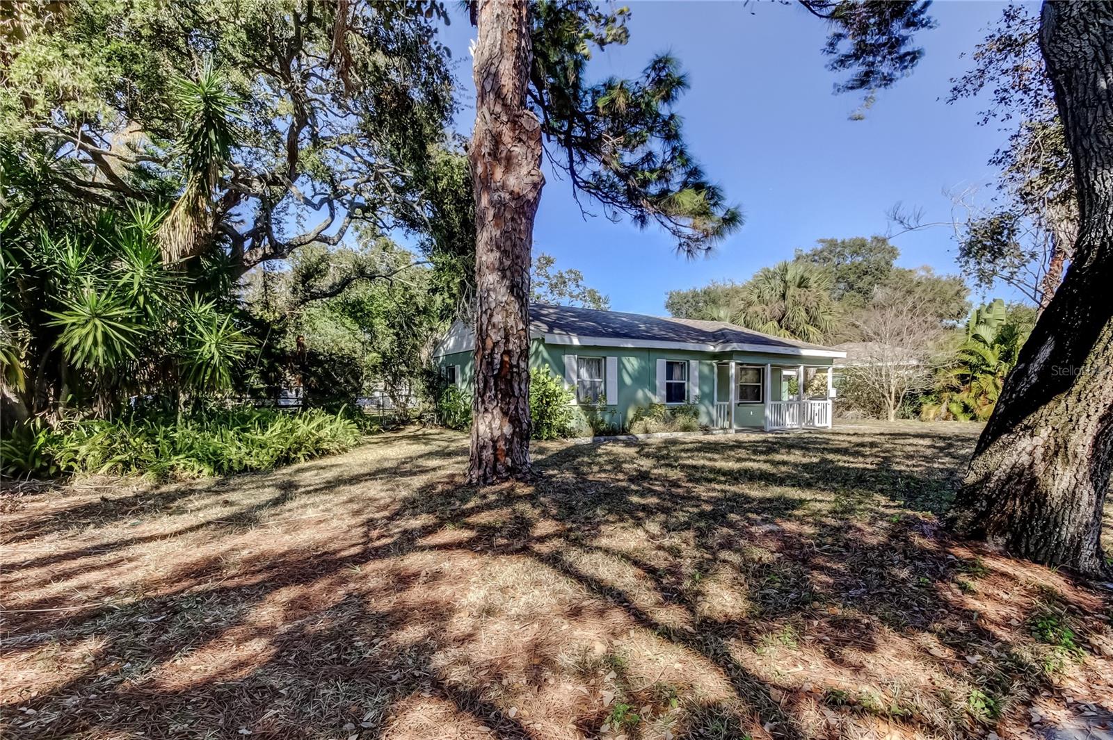 Prime Location - Jungle Terrace in West St. Petersburg