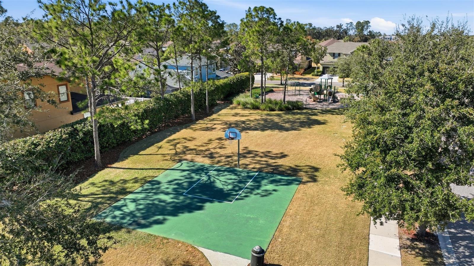 Glenbrook's own Park