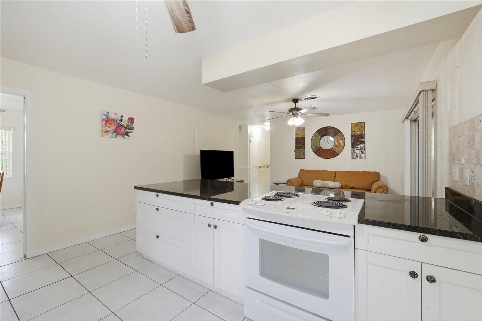 2101 W KYRA DR, TAMPA, FL, 33612