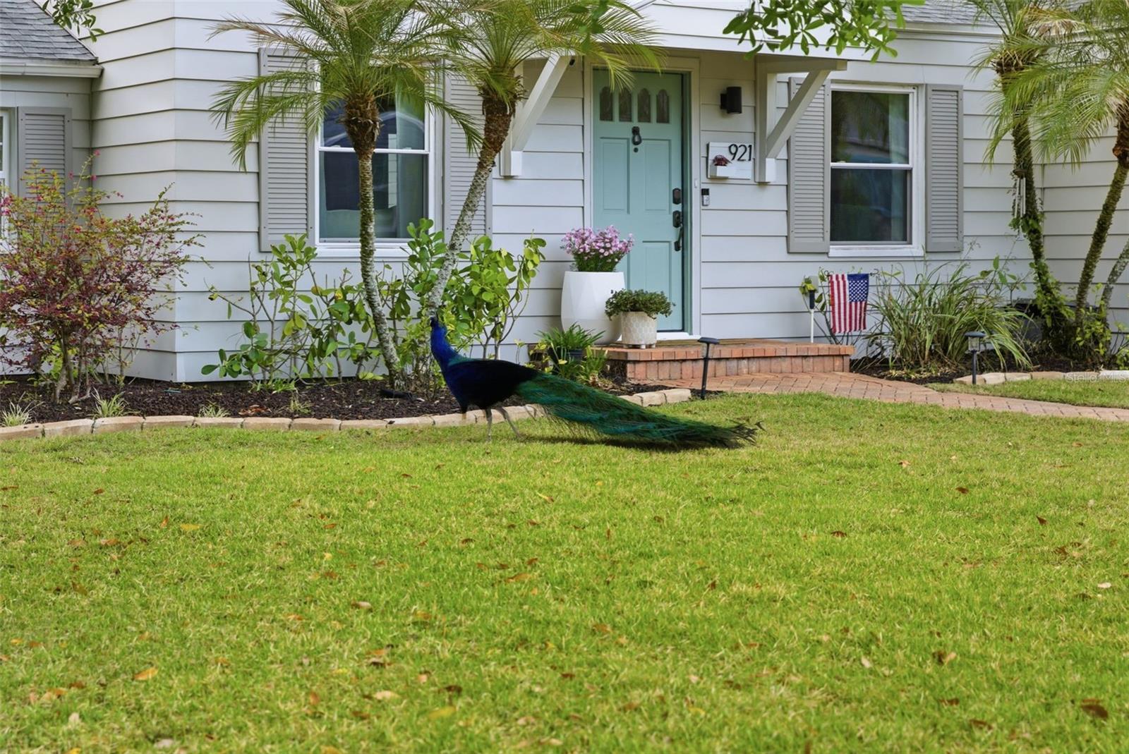 921 CORNELIUS AVE, TAMPA, FL, 33603