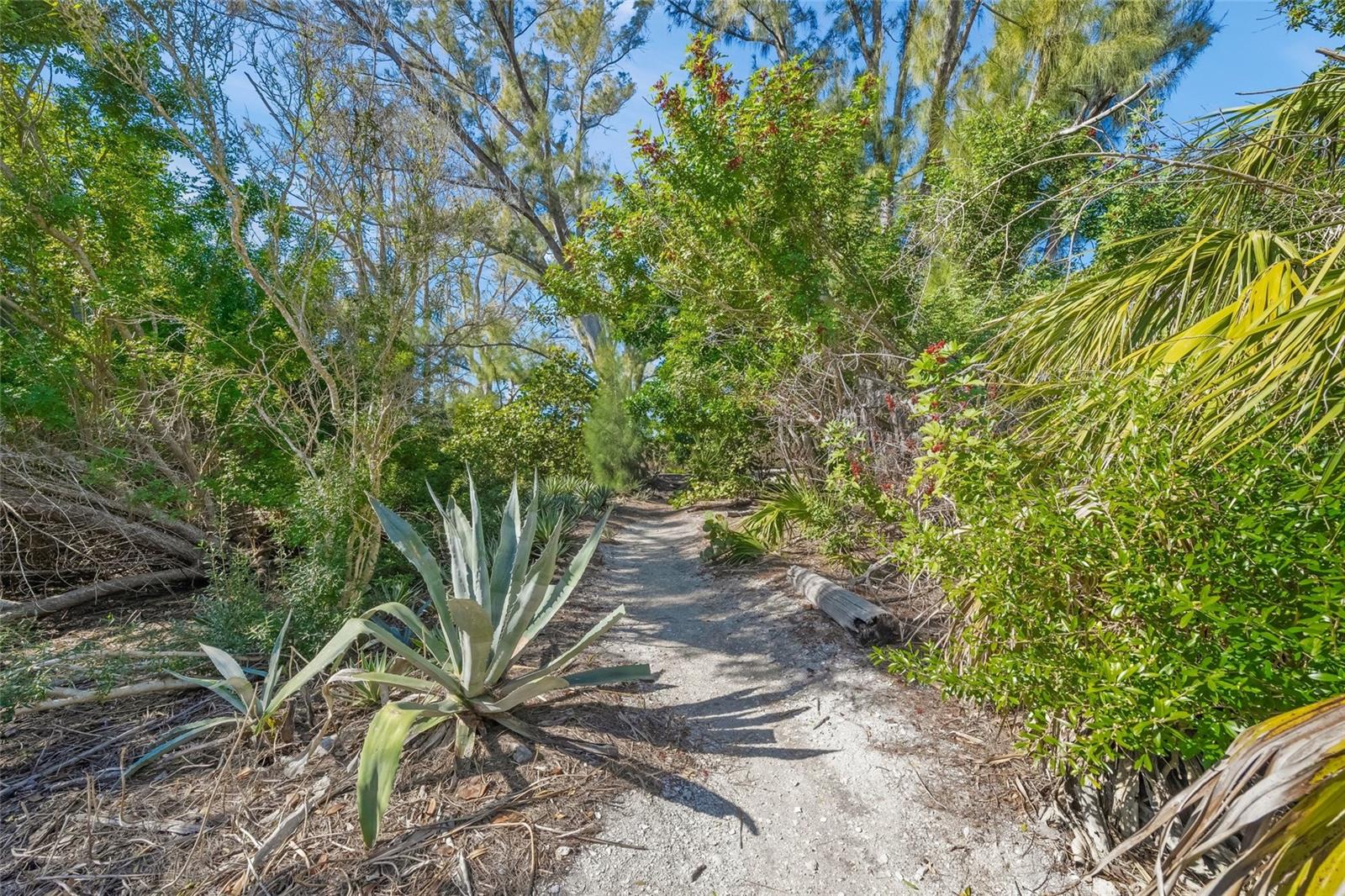 A4682353 Property Photo