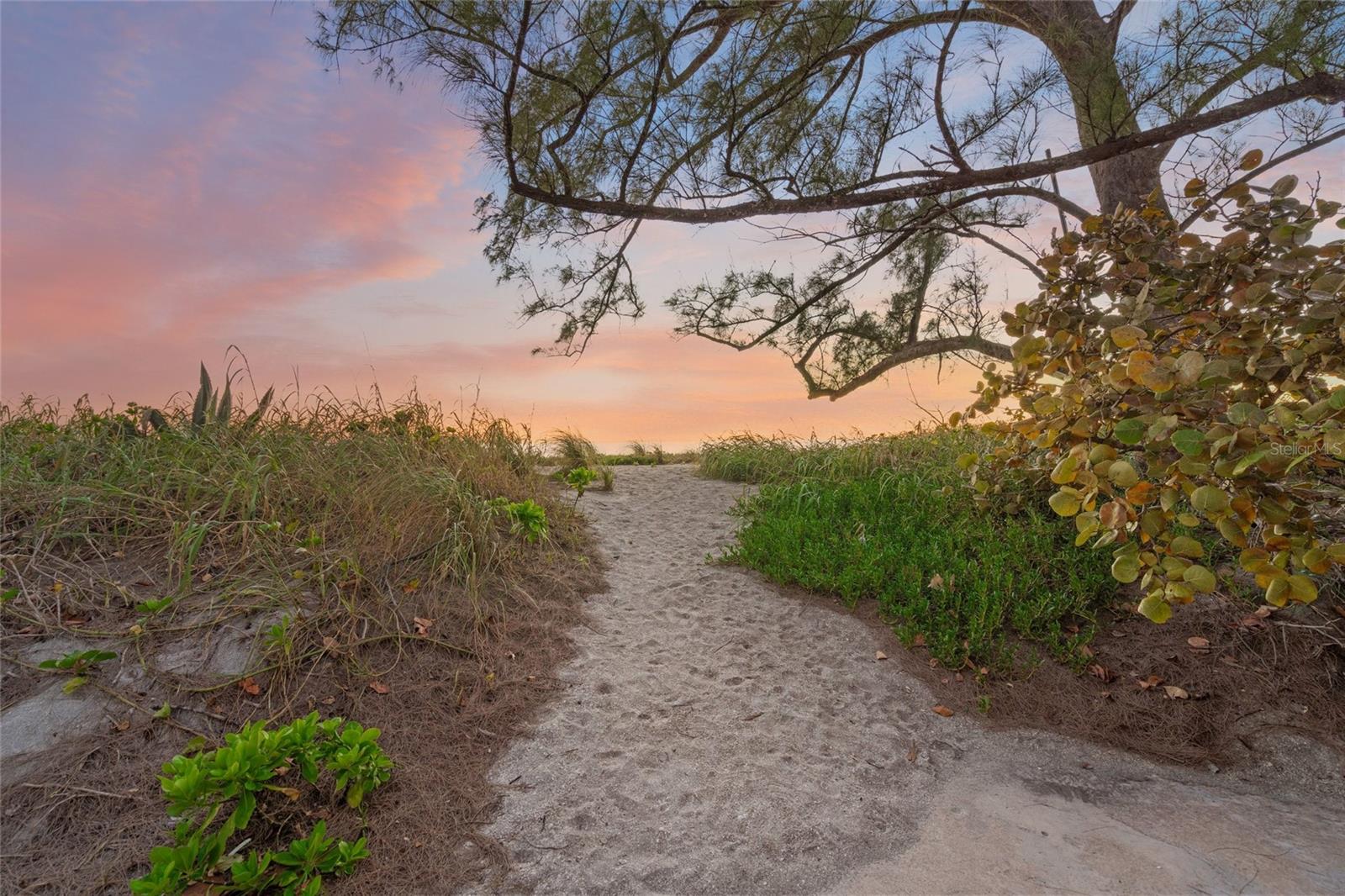 A4682353 Property Photo