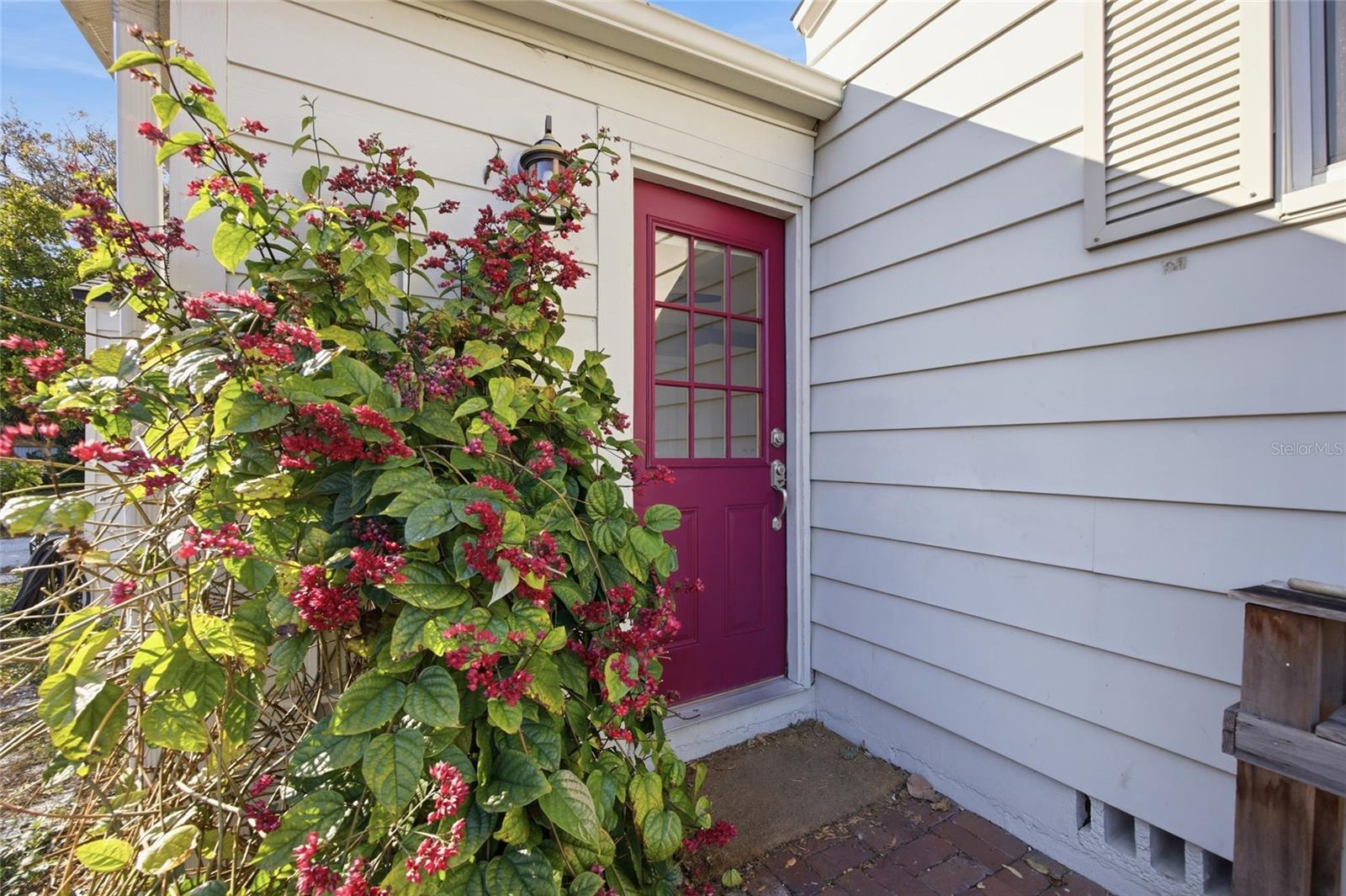 Back Entry into Bonus Room