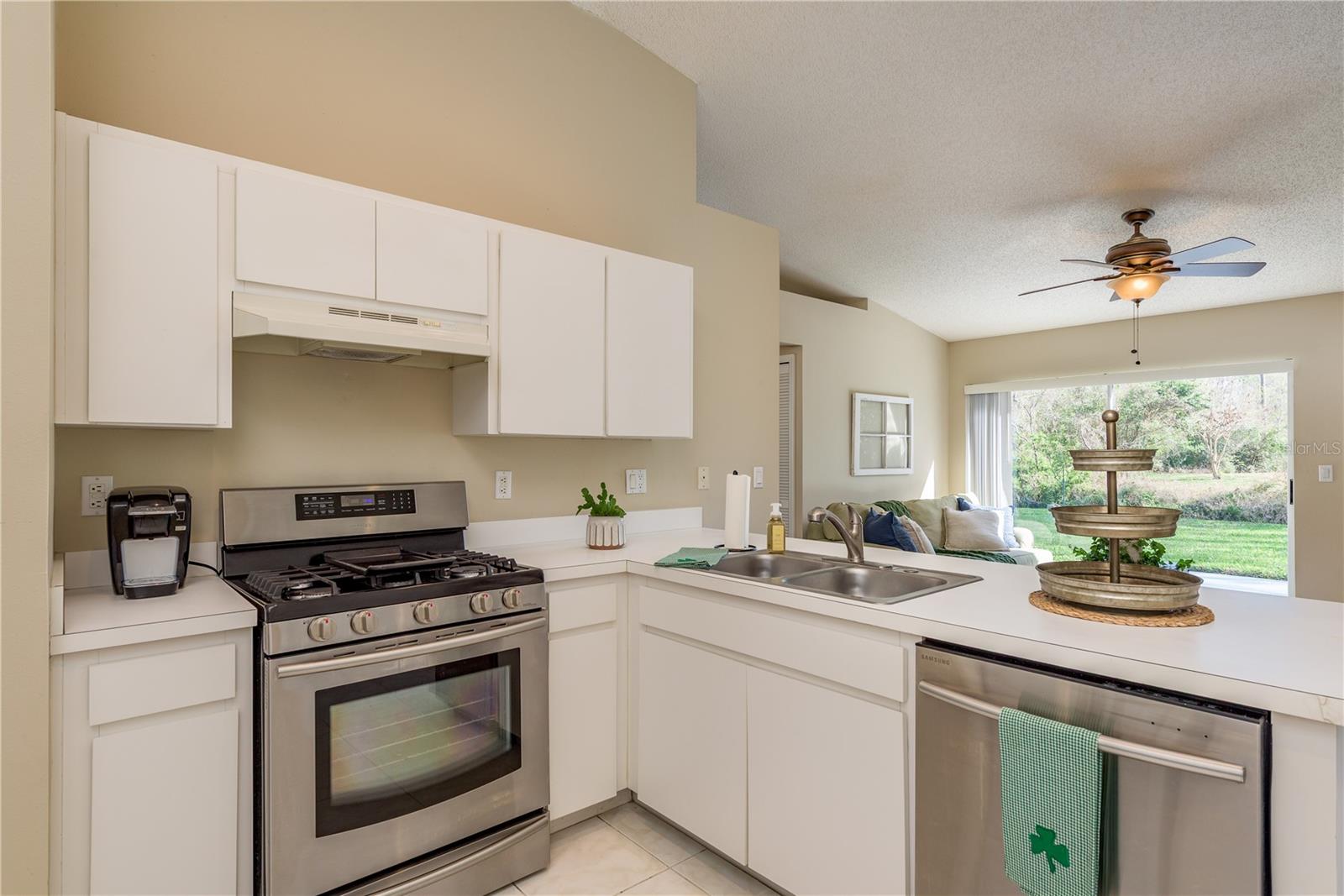 28540 TALL GRASS DR, WESLEY CHAPEL, FL, 33543