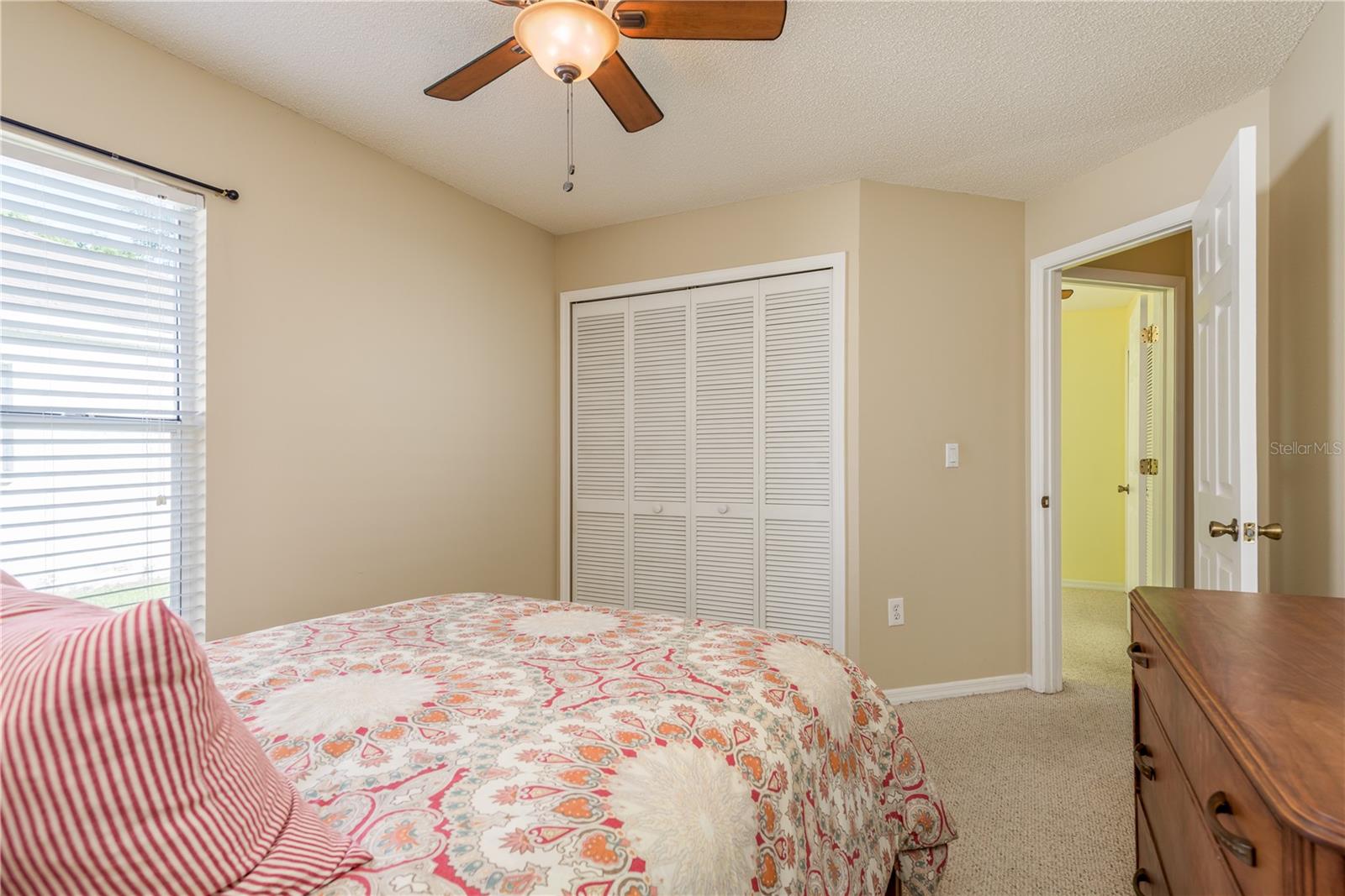 28540 TALL GRASS DR, WESLEY CHAPEL, FL, 33543