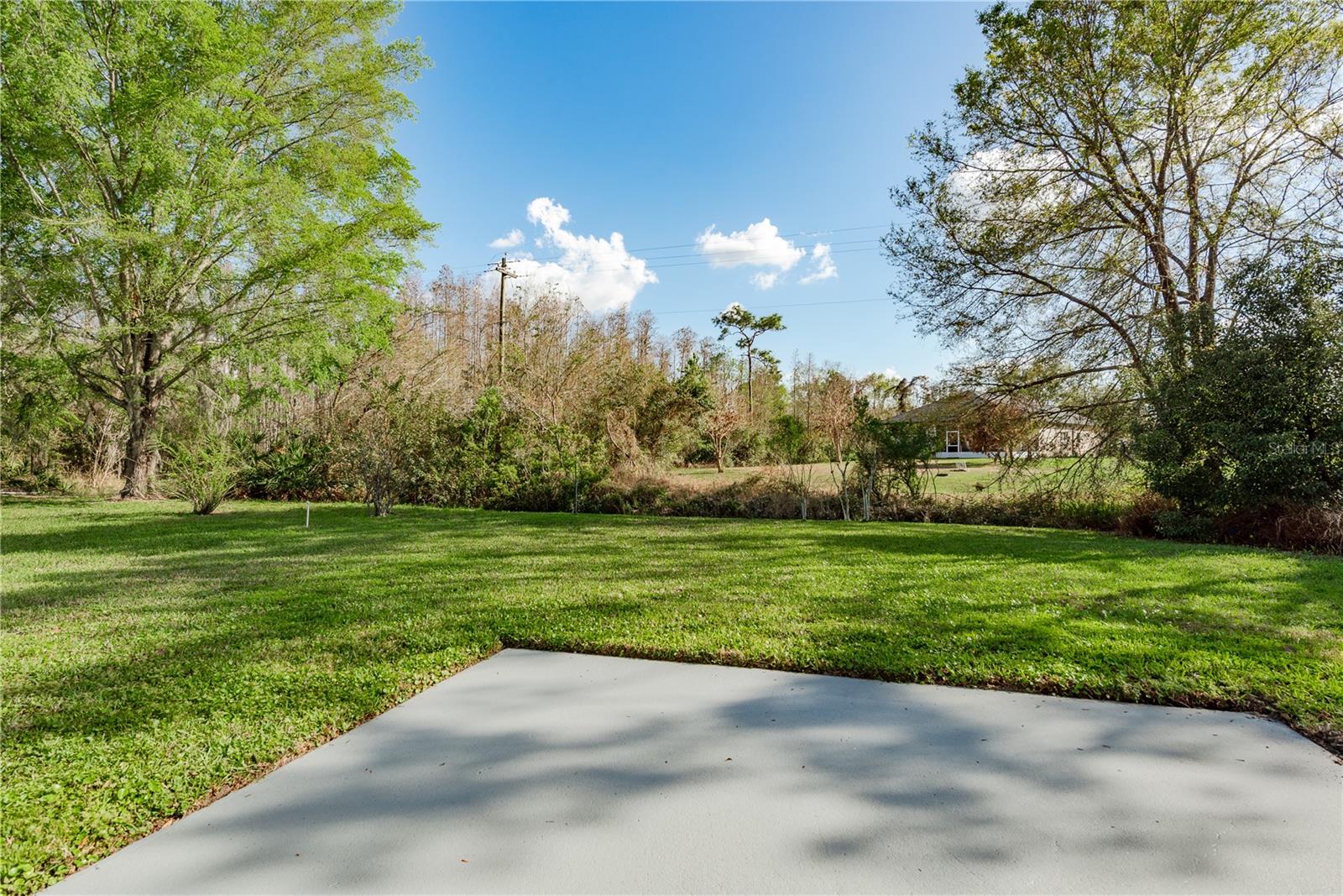 28540 TALL GRASS DR, WESLEY CHAPEL, FL, 33543