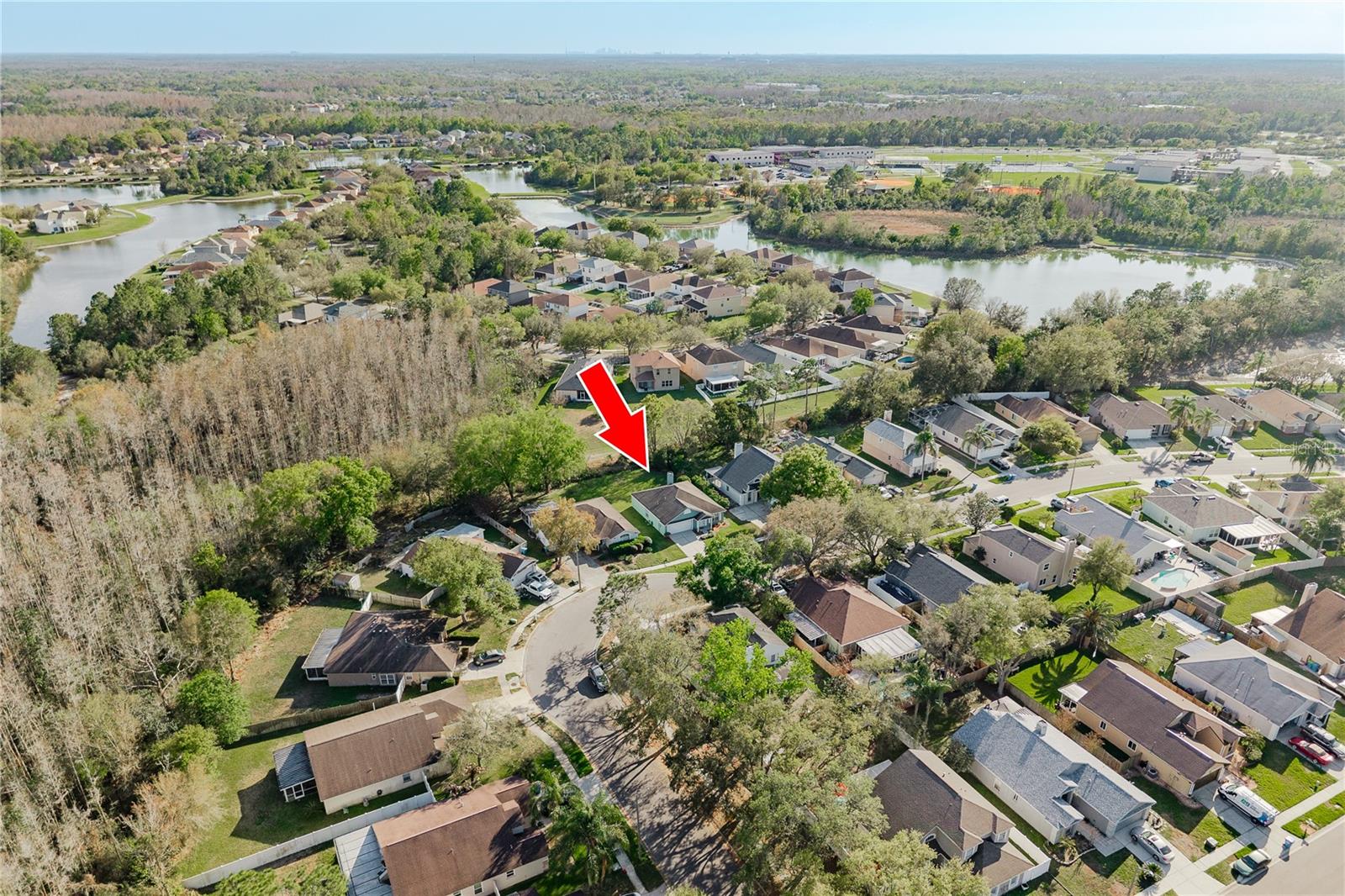 28540 TALL GRASS DR, WESLEY CHAPEL, FL, 33543