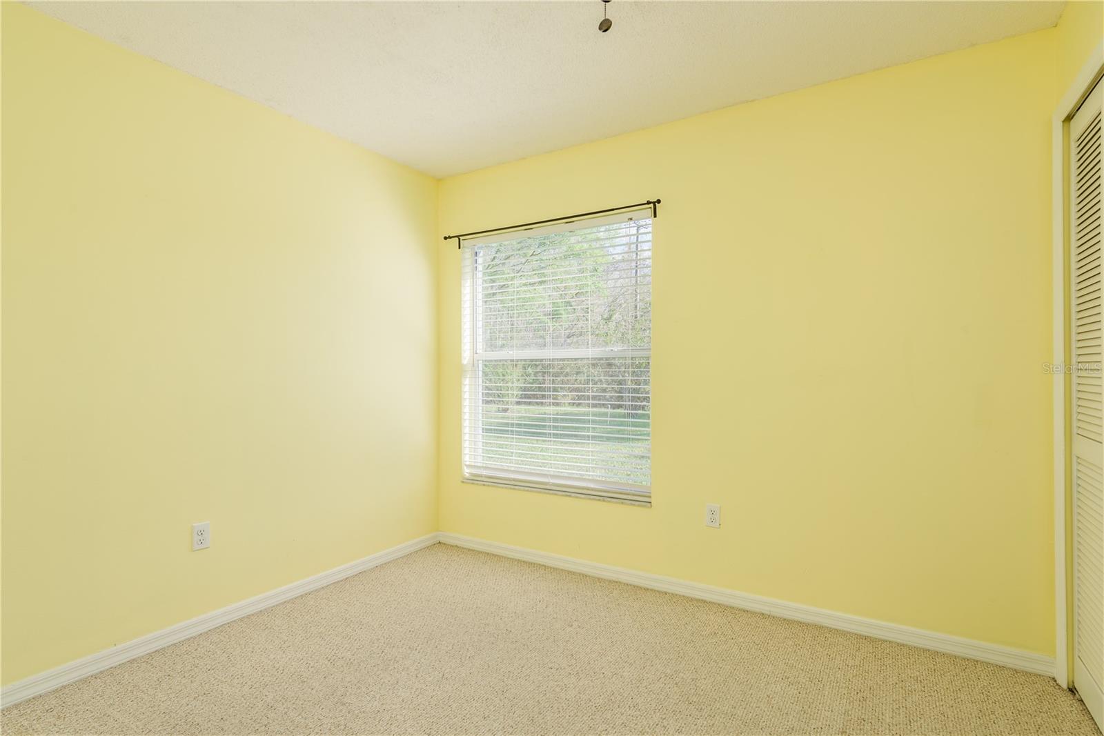 28540 TALL GRASS DR, WESLEY CHAPEL, FL, 33543
