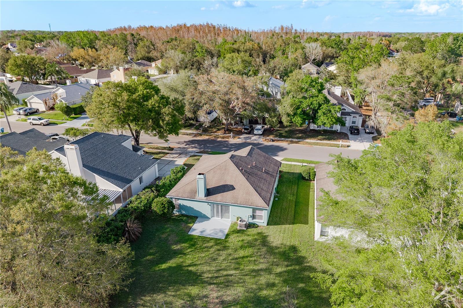 28540 TALL GRASS DR, WESLEY CHAPEL, FL, 33543