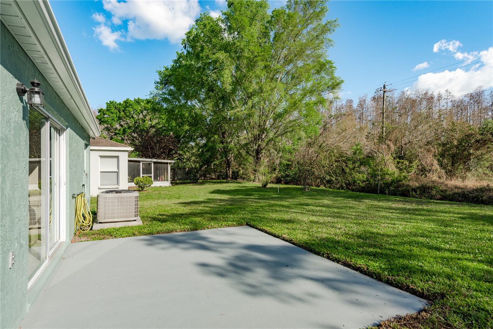 28540 TALL GRASS DR, WESLEY CHAPEL, FL, 33543