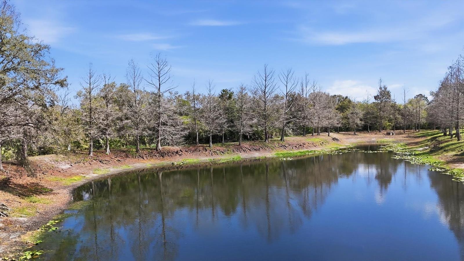 9038 WHITE SAGE LOOP, LAKEWOOD RANCH, FL, 34202