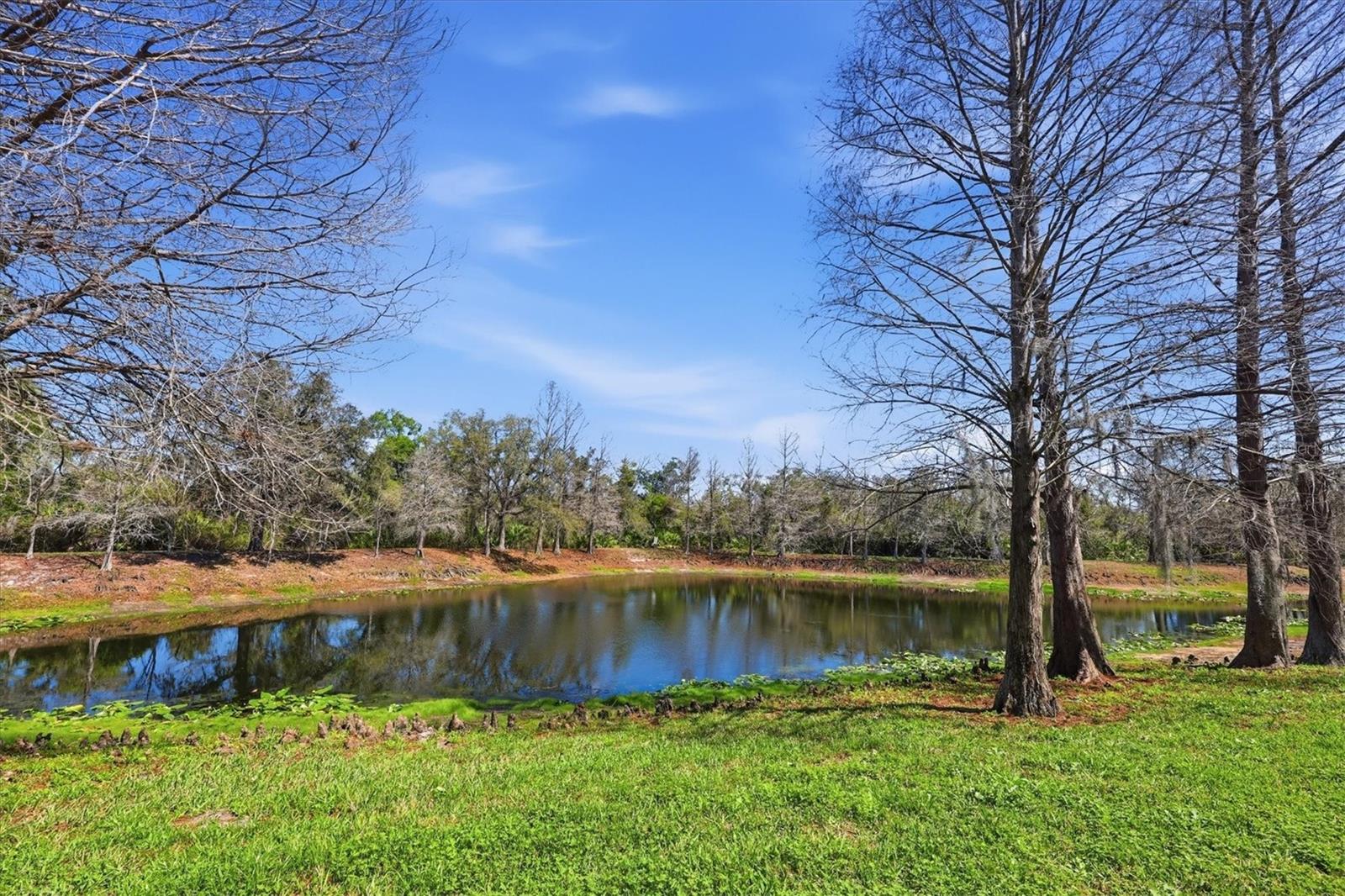 9038 WHITE SAGE LOOP, LAKEWOOD RANCH, FL, 34202