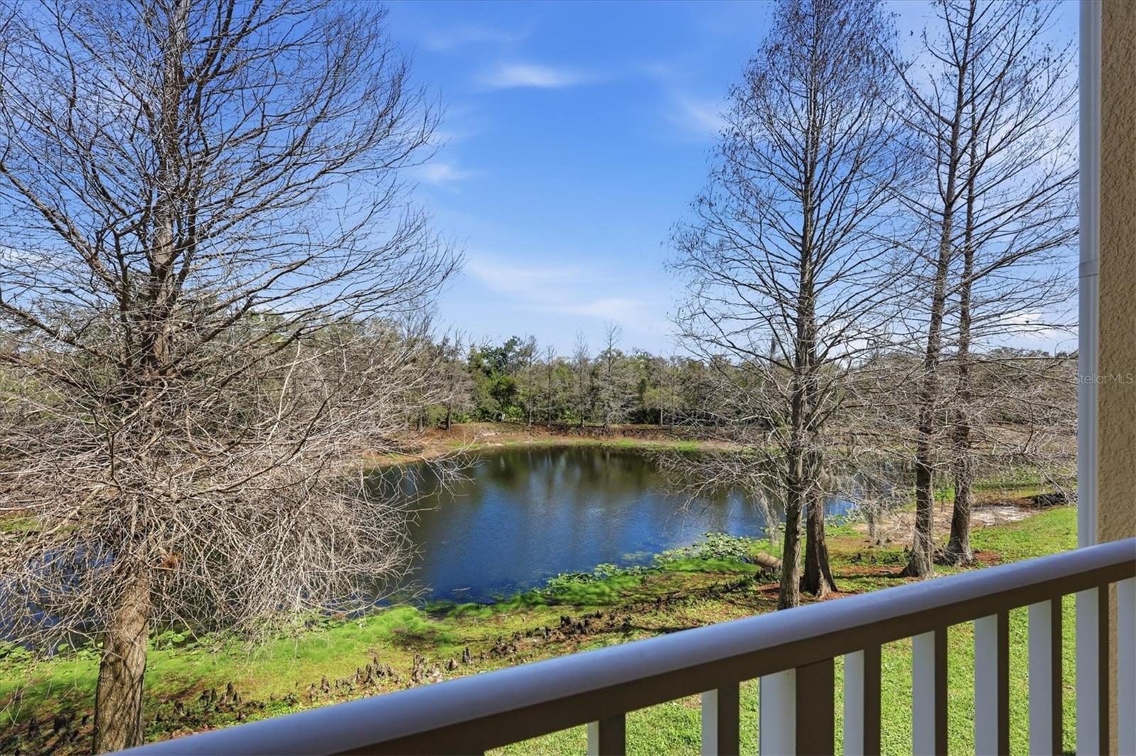 9038 WHITE SAGE LOOP, LAKEWOOD RANCH, FL, 34202