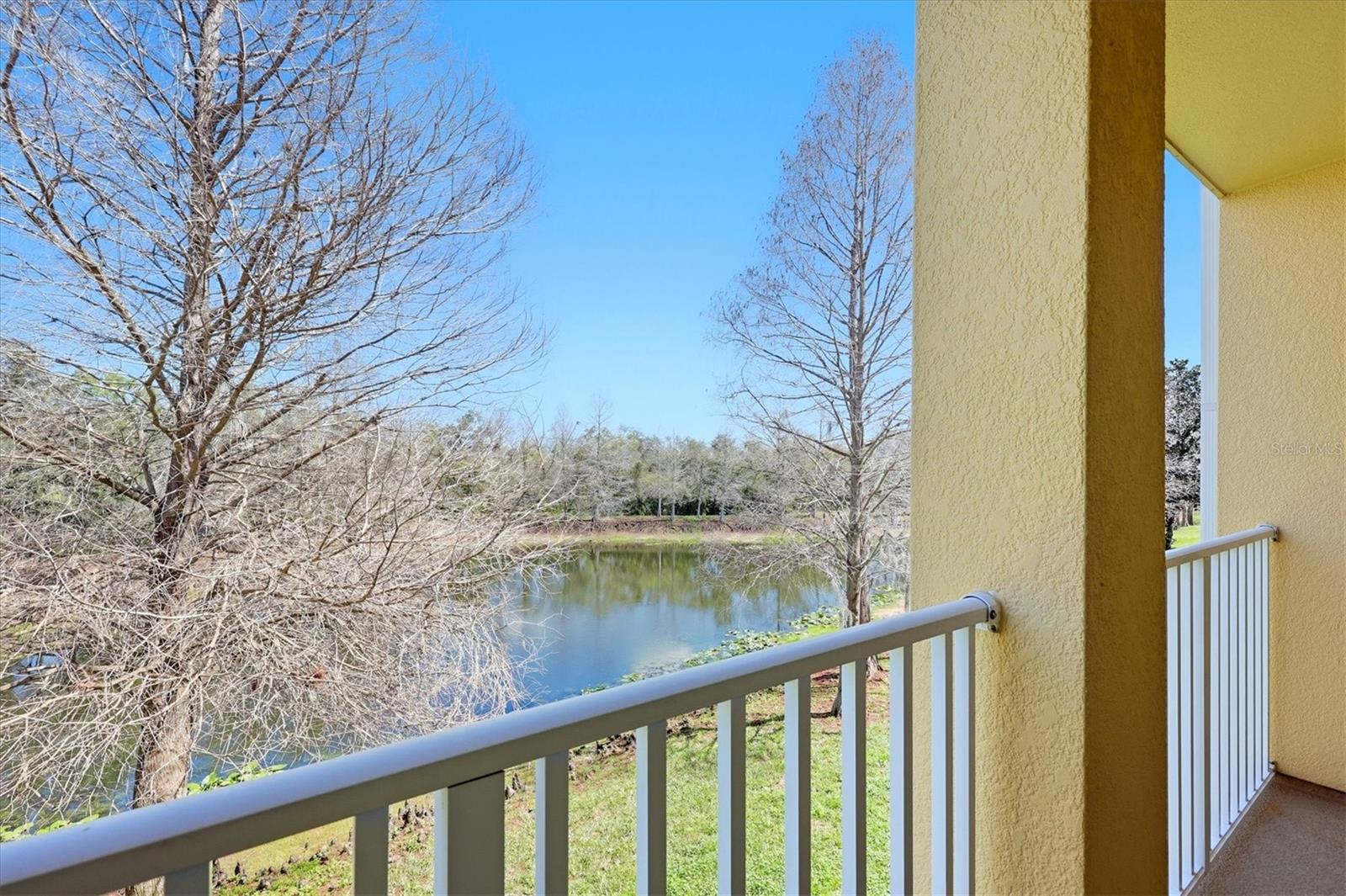9038 WHITE SAGE LOOP, LAKEWOOD RANCH, FL, 34202