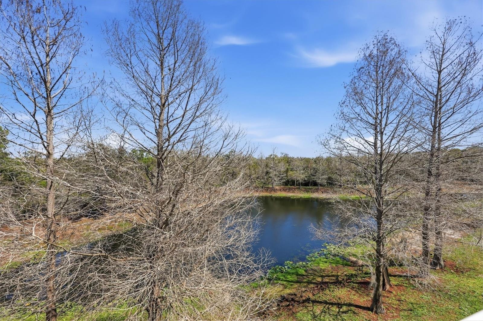9038 WHITE SAGE LOOP, LAKEWOOD RANCH, FL, 34202