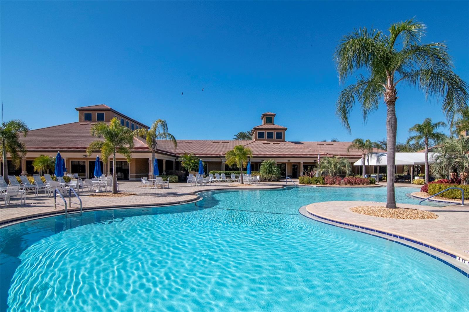 Resort Style Pool and Amenities