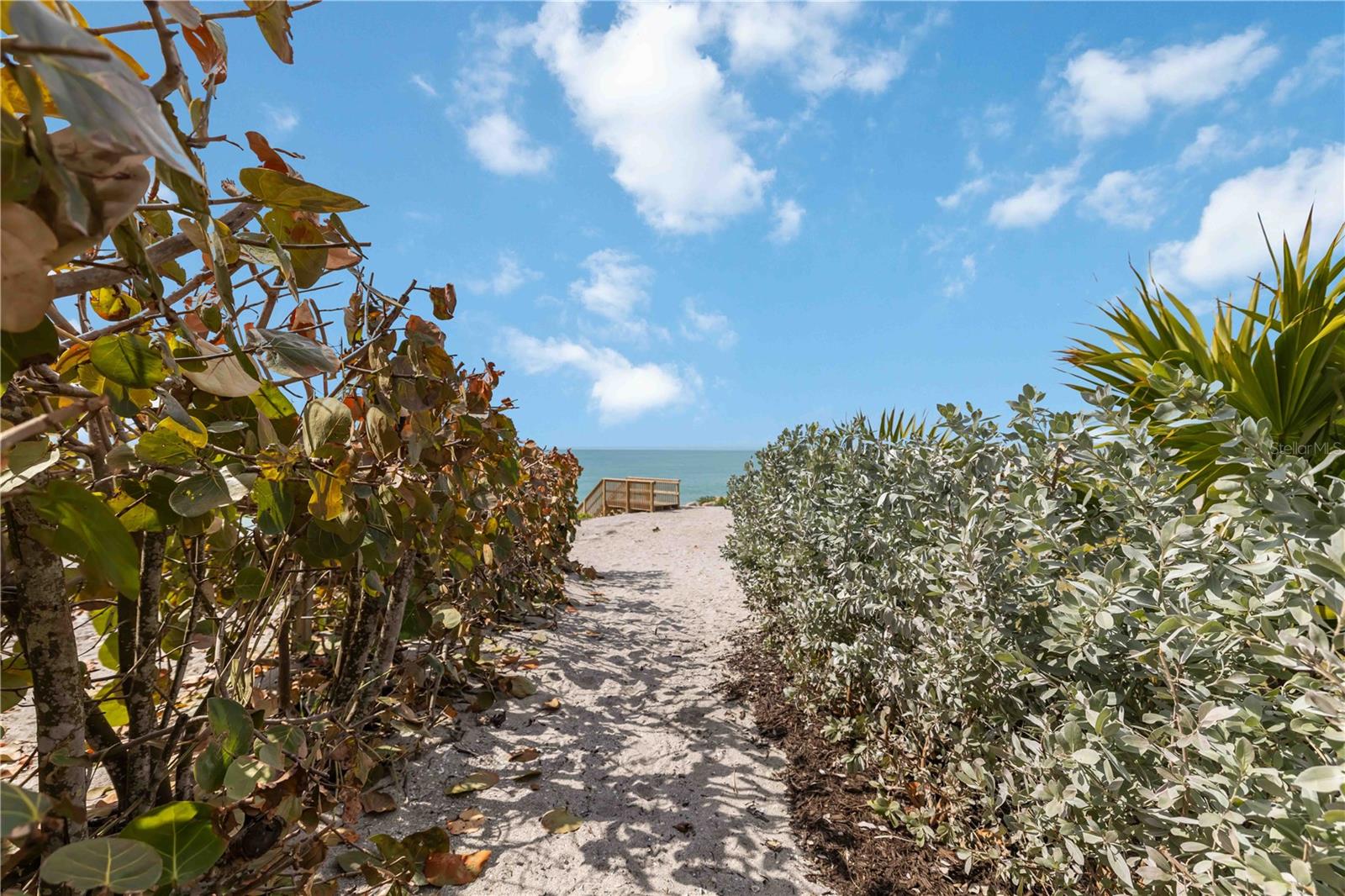 N6142947 Property Photo