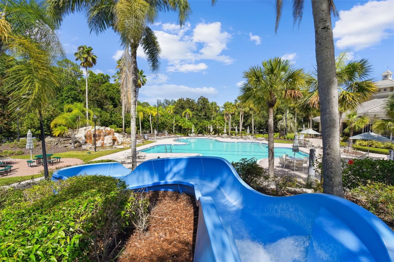 16329 ASHINGTON PARK DR, TAMPA, FL, 33647