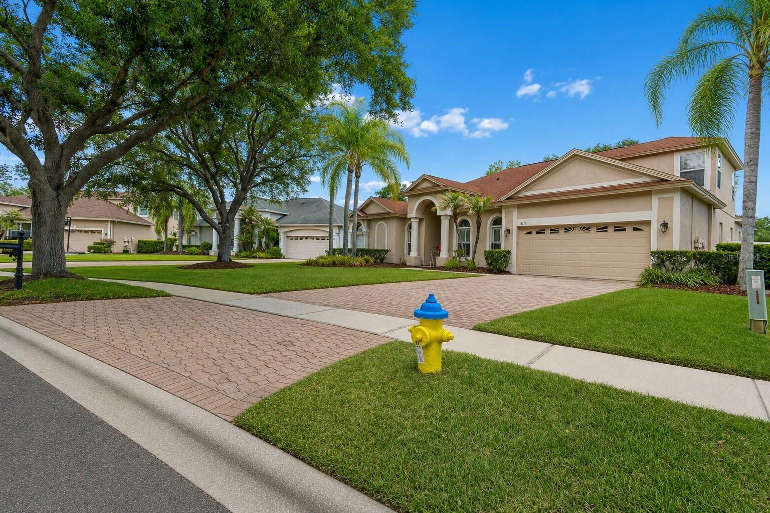 16329 ASHINGTON PARK DR, TAMPA, FL, 33647