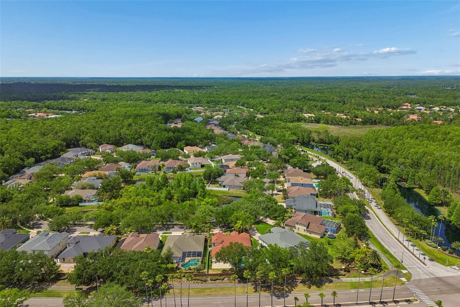 16329 ASHINGTON PARK DR, TAMPA, FL, 33647