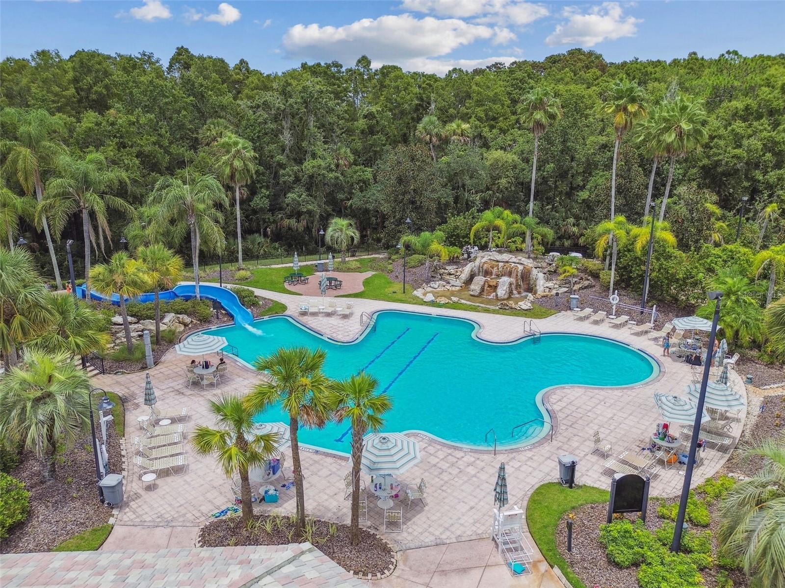 16329 ASHINGTON PARK DR, TAMPA, FL, 33647