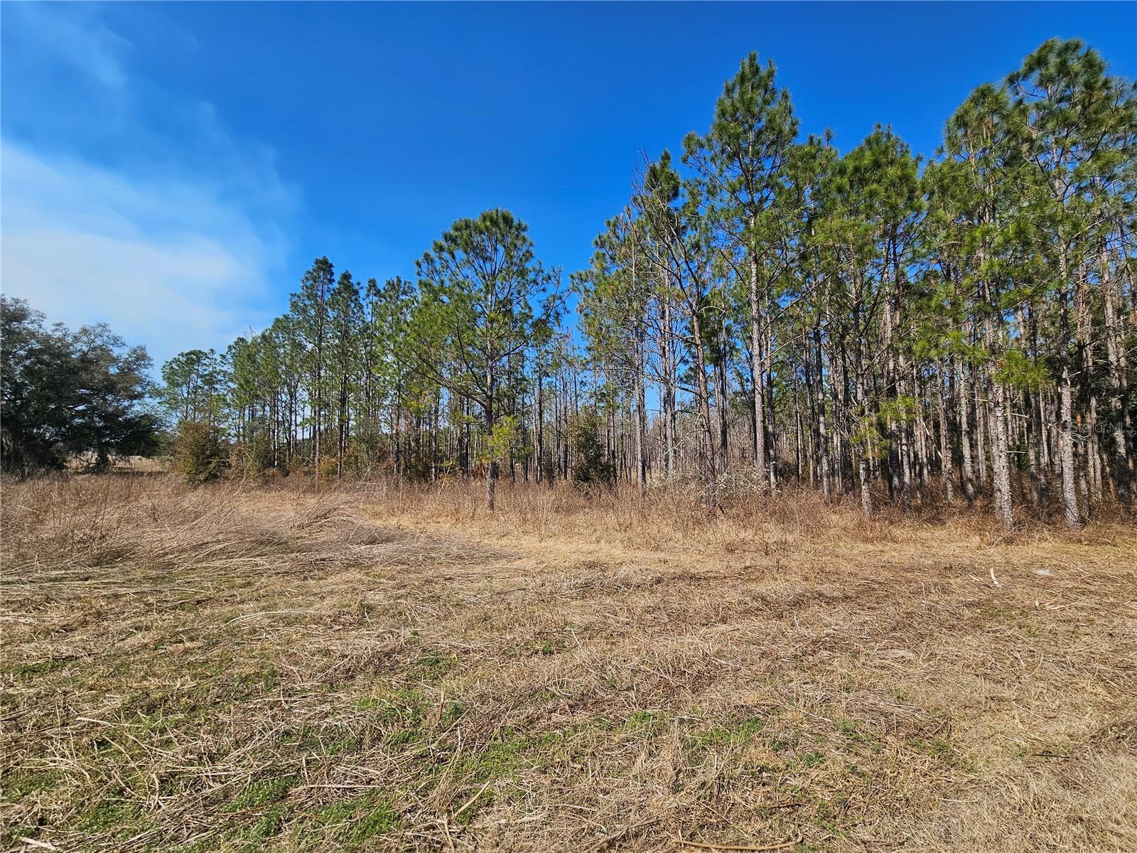 TB8475916 Property Photo