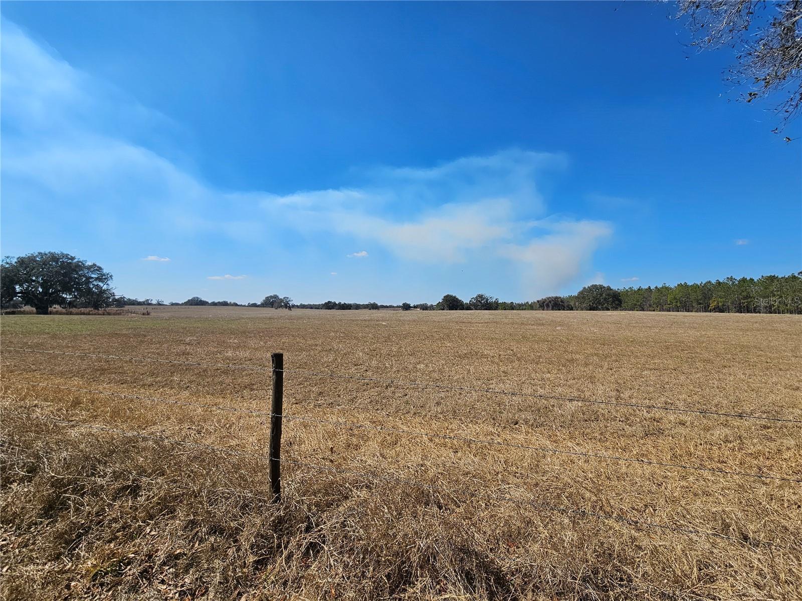 TB8475916 Property Photo