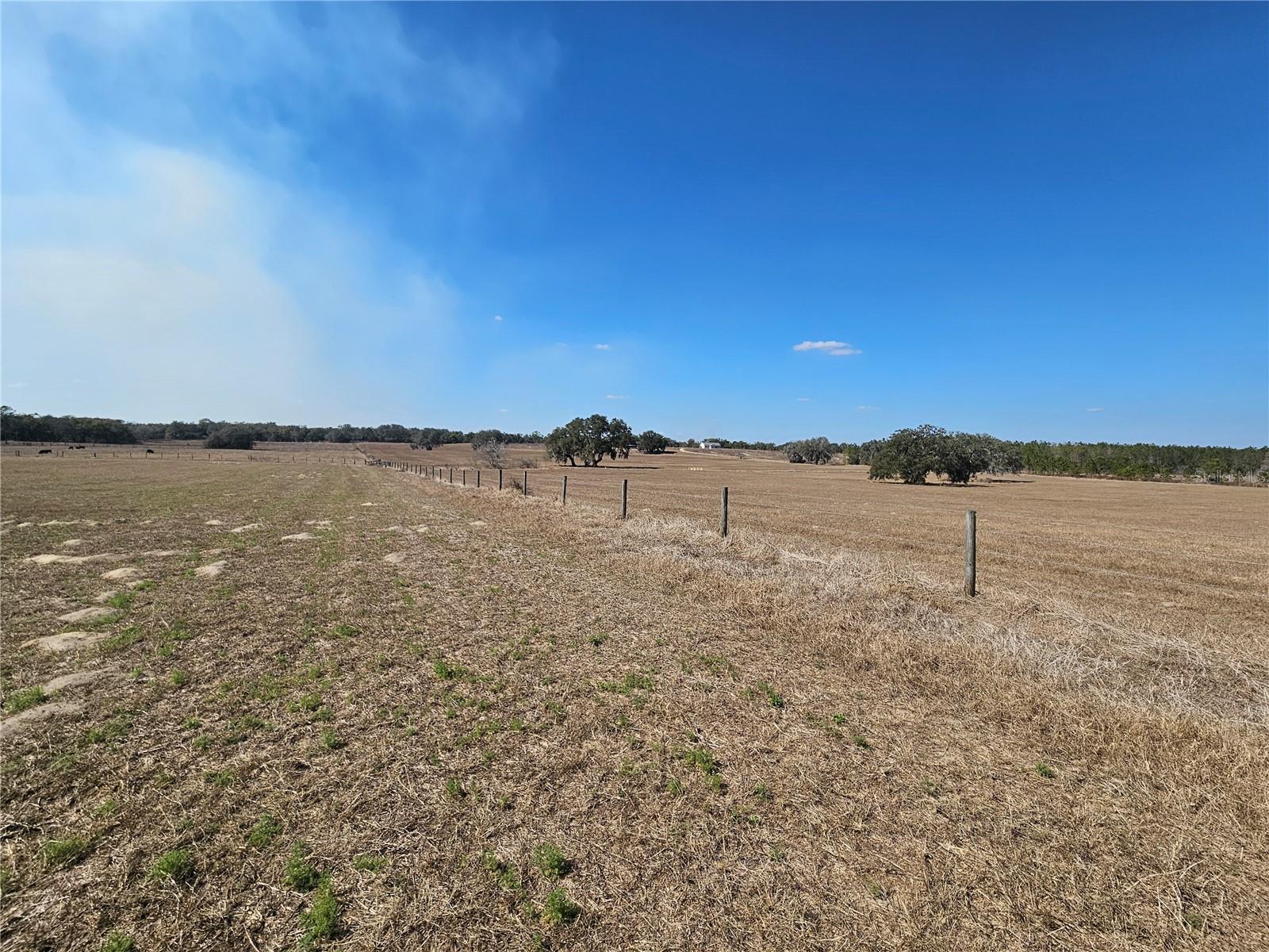 TB8475916 Property Photo